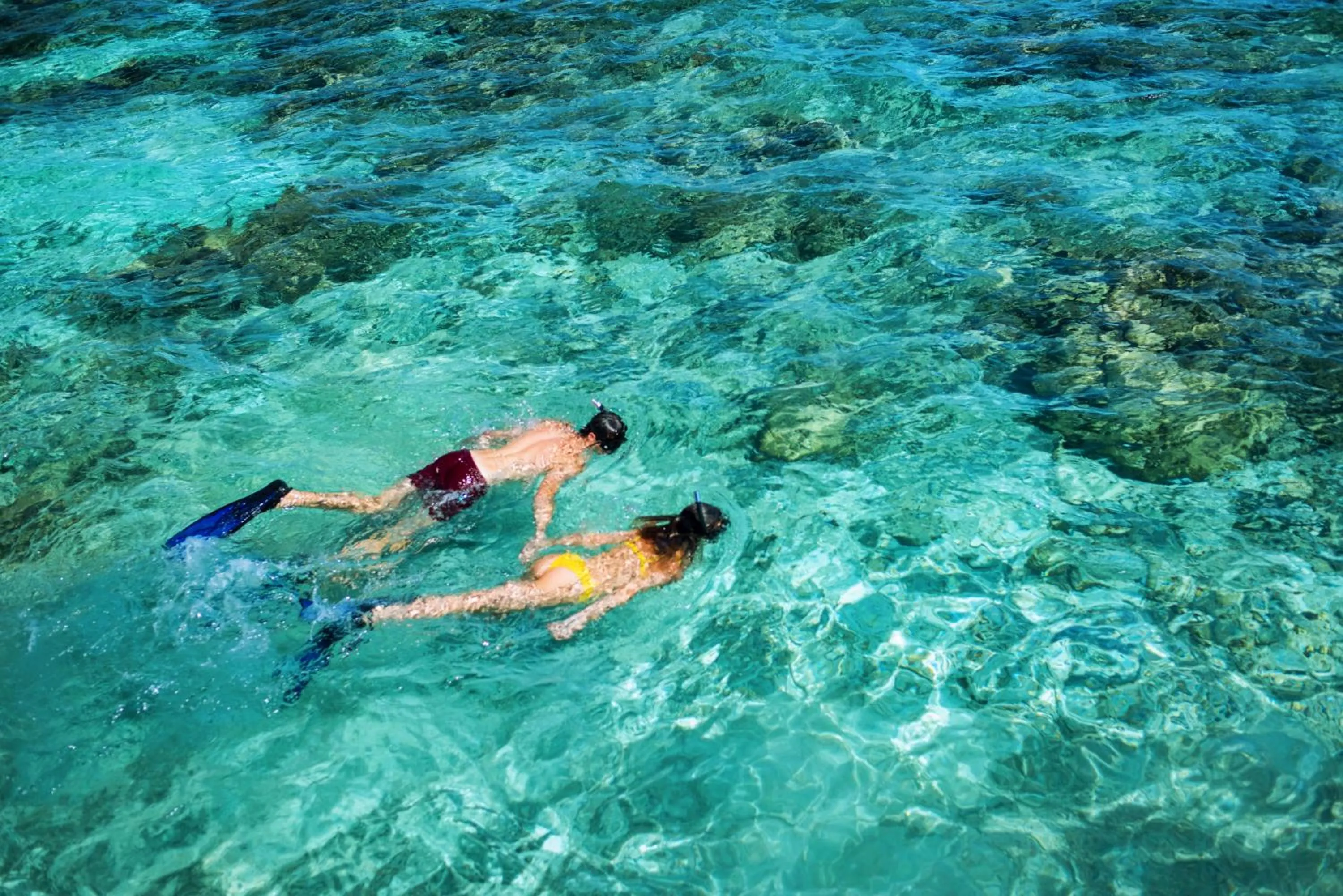 Snorkeling in Mercure Maldives Kooddoo - Adults-Only Escape - 50 percent off Domestic Transfers