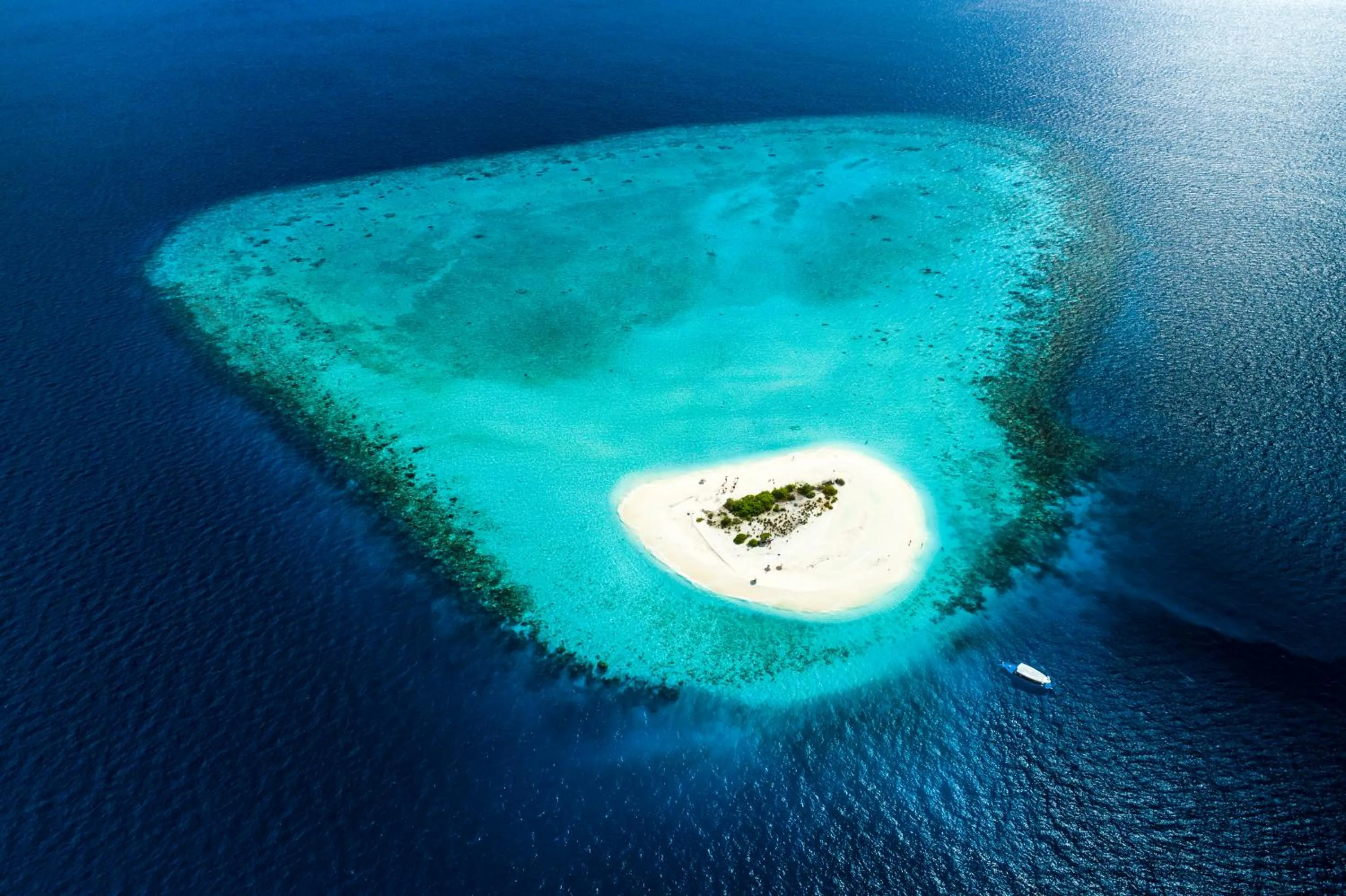 Off site in Mercure Maldives Kooddoo - Adults-Only Escape - 50 percent off Domestic Transfers