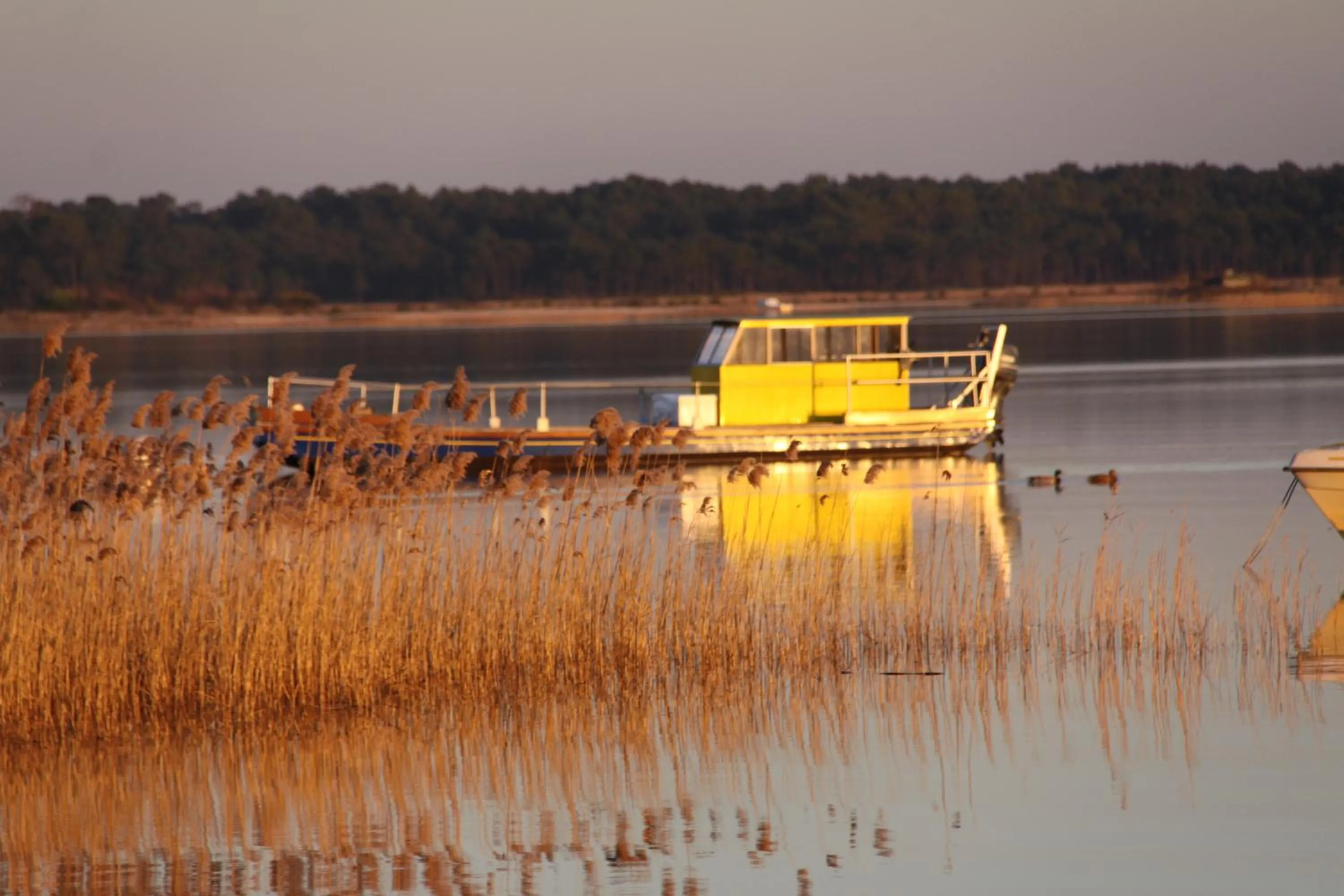 Natural landscape in Lodging Le Lac