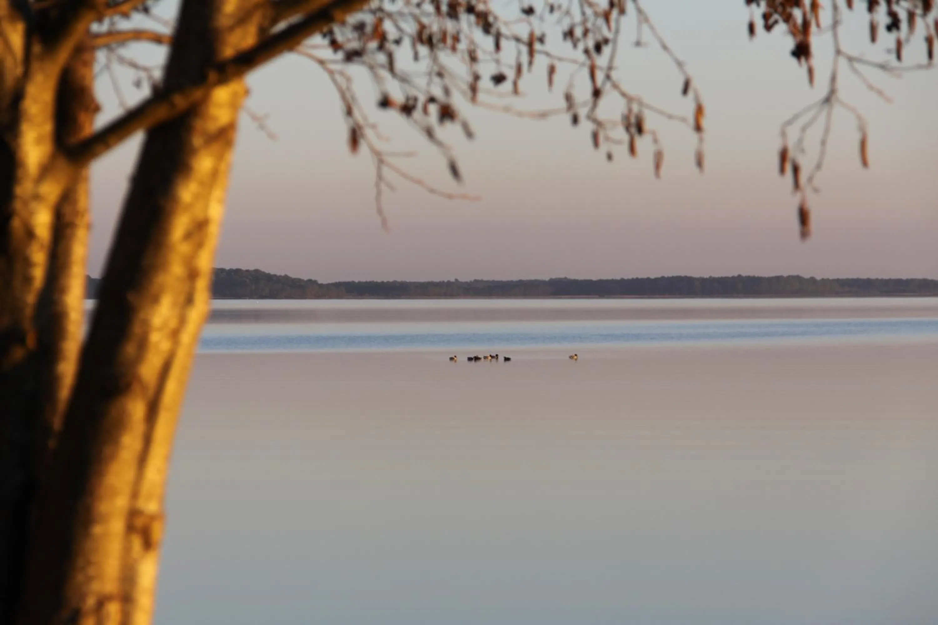 Natural landscape in Lodging Le Lac