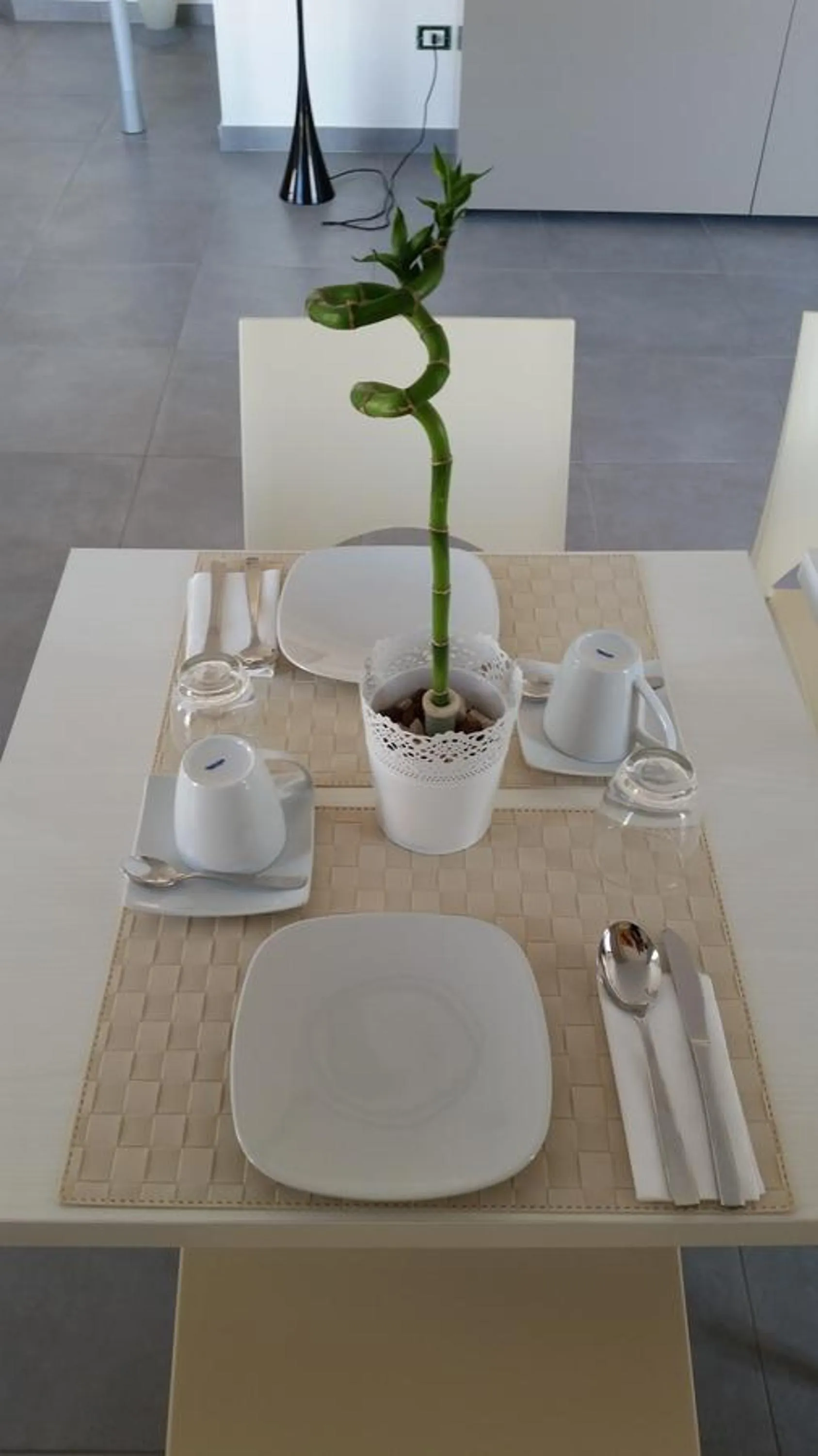 Property building in Dodo House