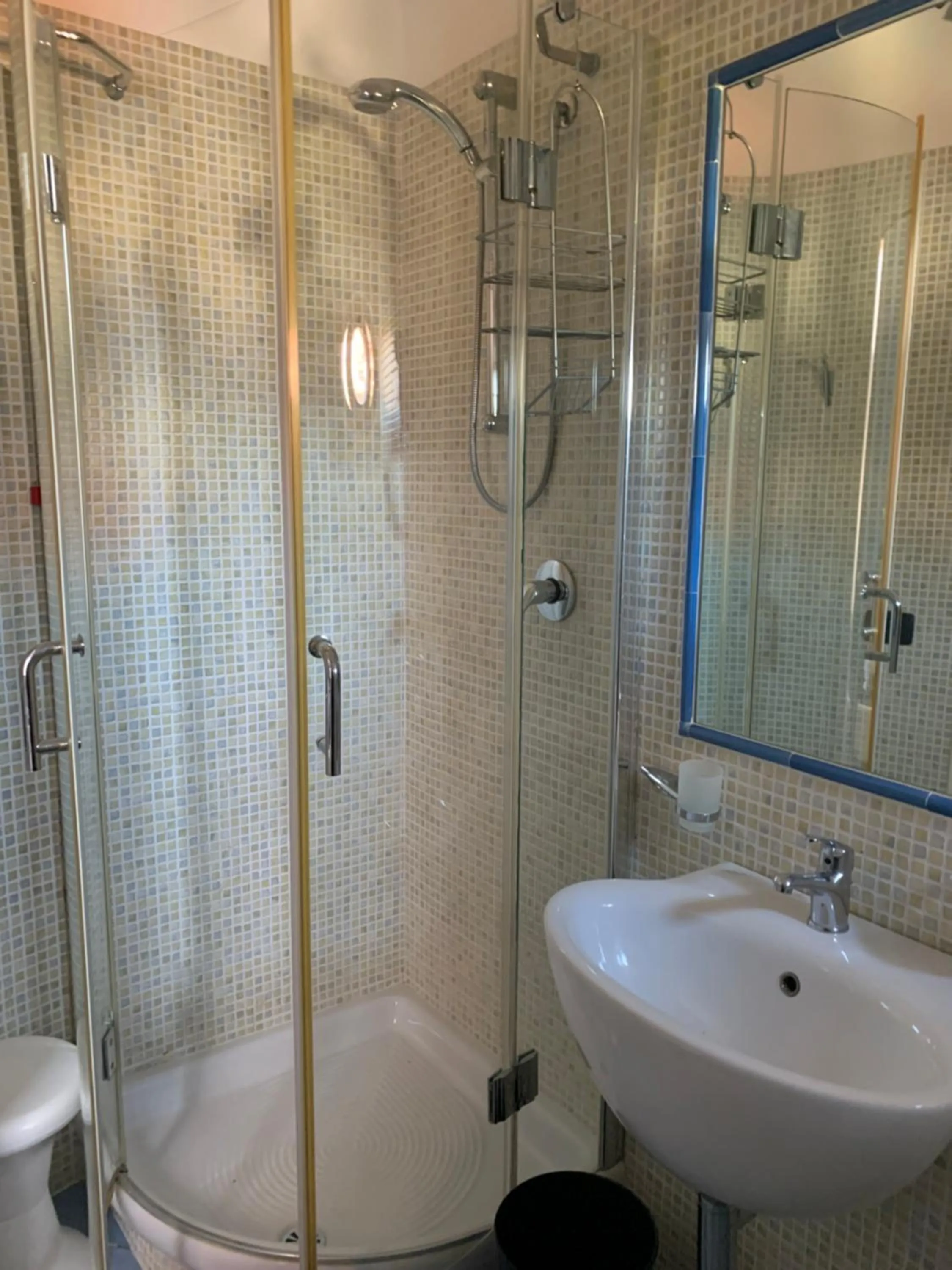Shower in Hotel Residence La Darsena