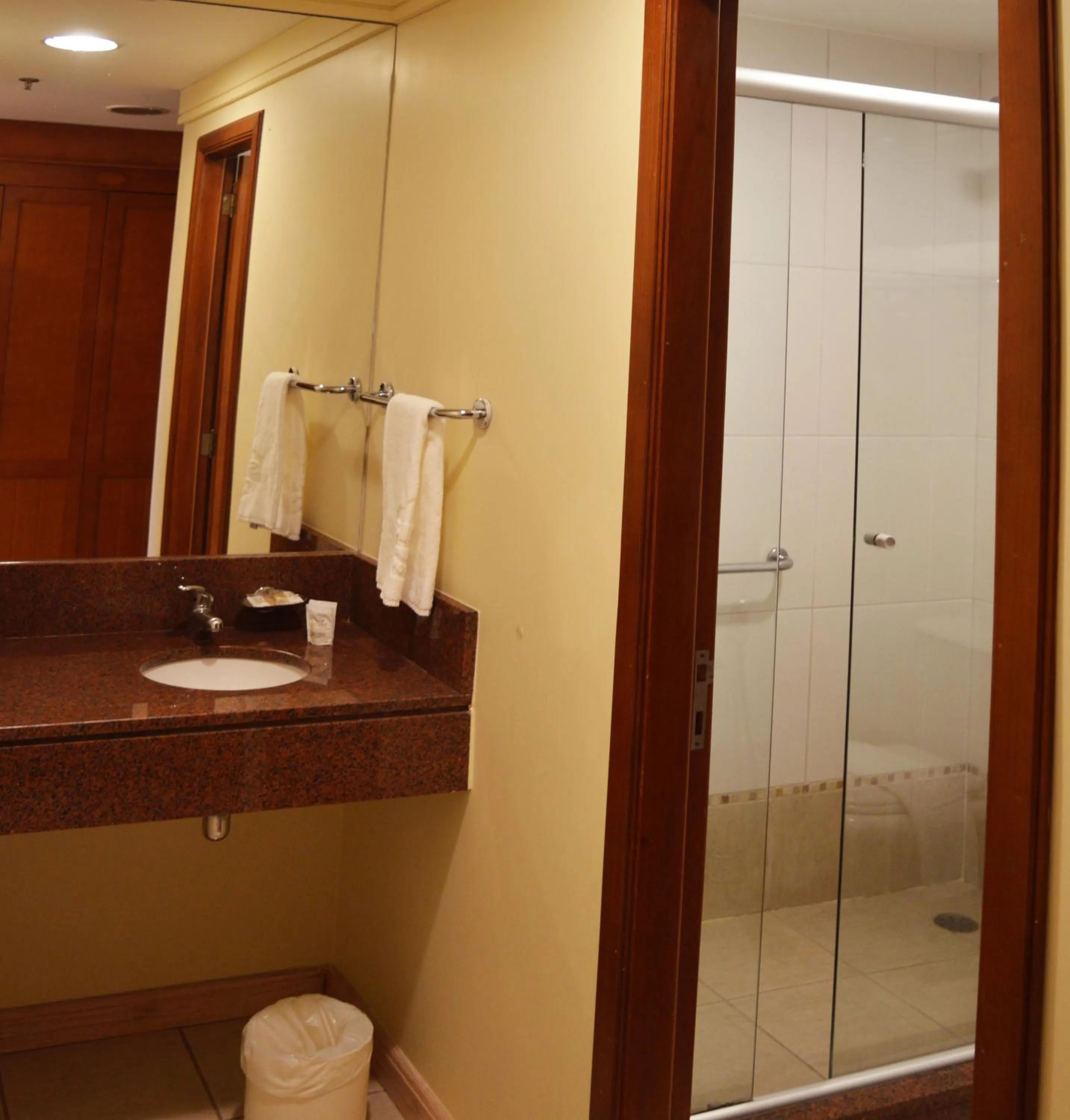 Bathroom in Sky Borges Hotel Alpenhaus - Gramado