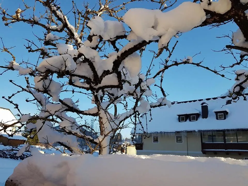 Winter in Hotel Tauplitzerhof