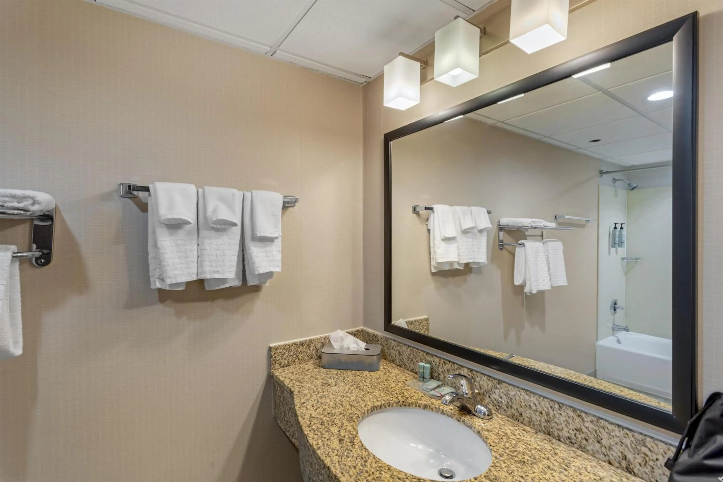 Bathroom in Best Western Hunt's Landing Hotel Matamoras Milford