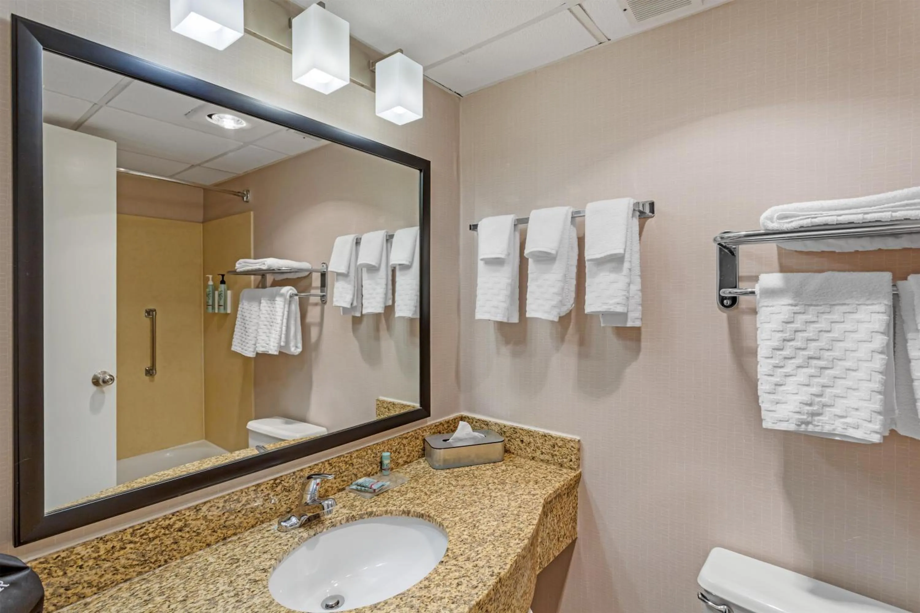 Bathroom in Best Western Hunt's Landing Hotel Matamoras Milford