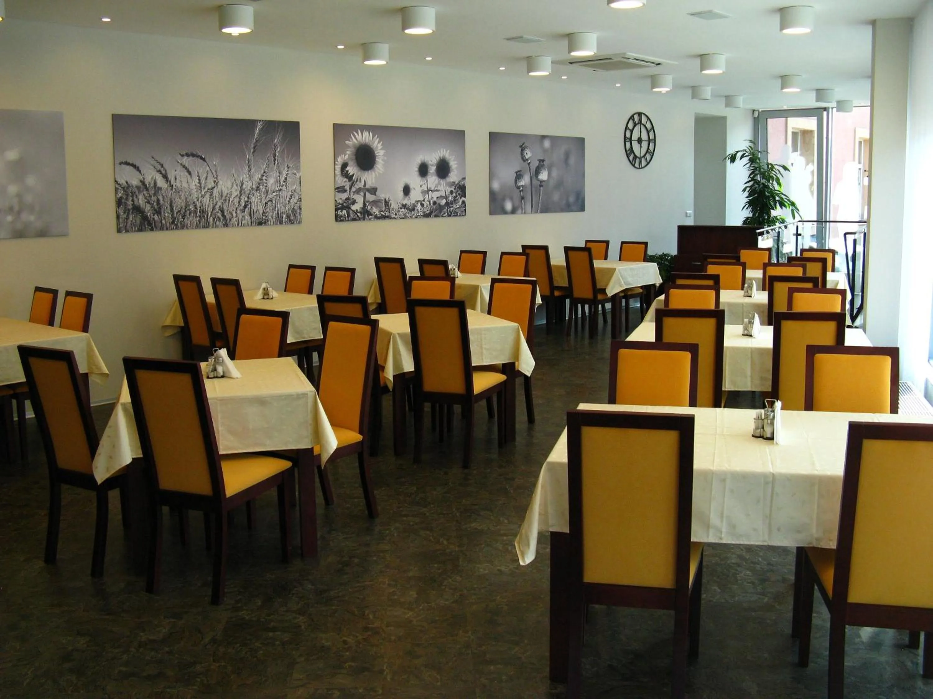 Restaurant/places to eat in Hotel Senimo