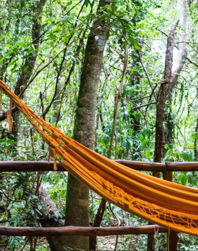 Day in La Aldea De La Selva Lodge