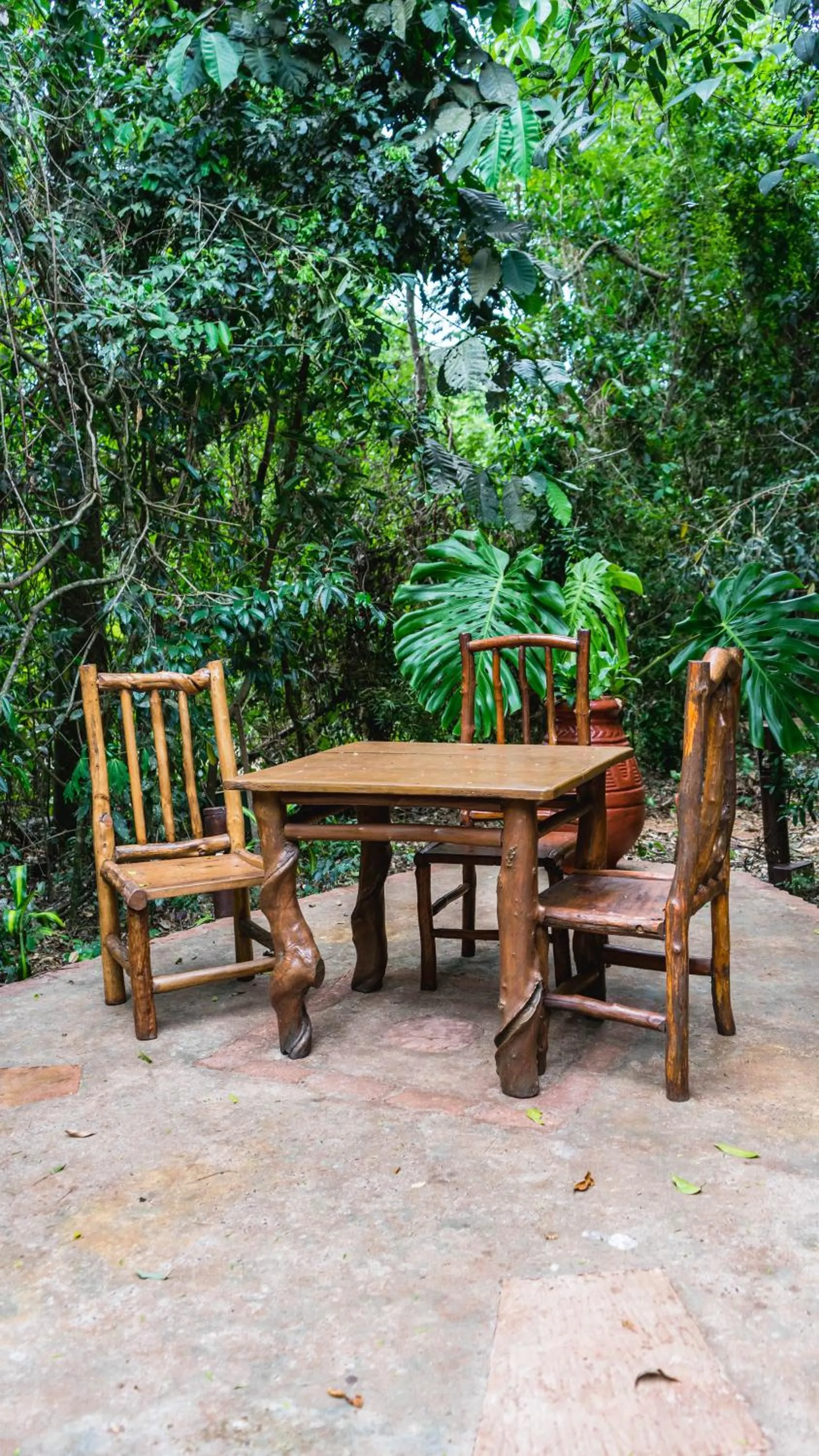 Patio in La Aldea De La Selva Lodge