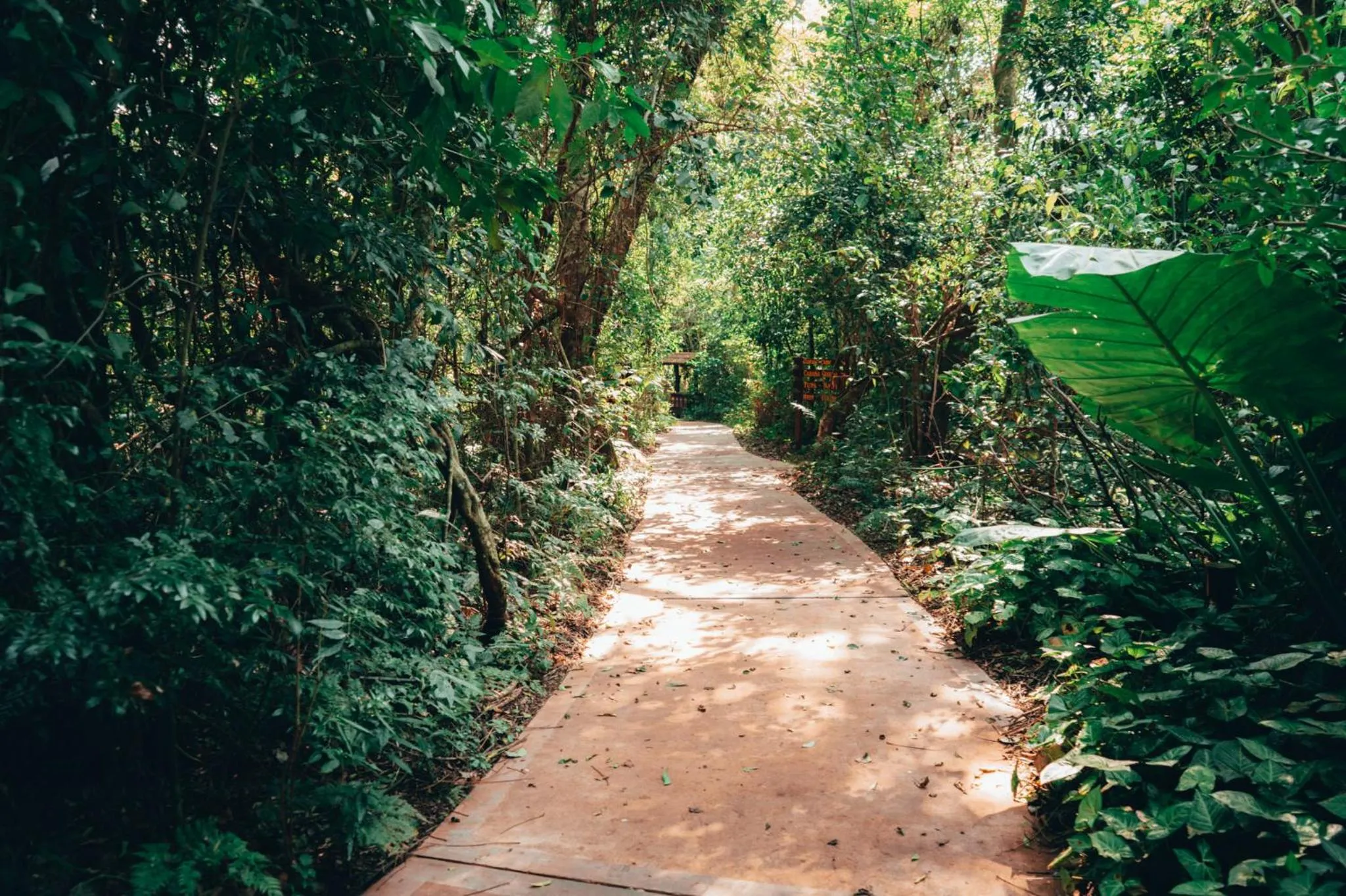 Natural landscape in La Aldea De La Selva Lodge