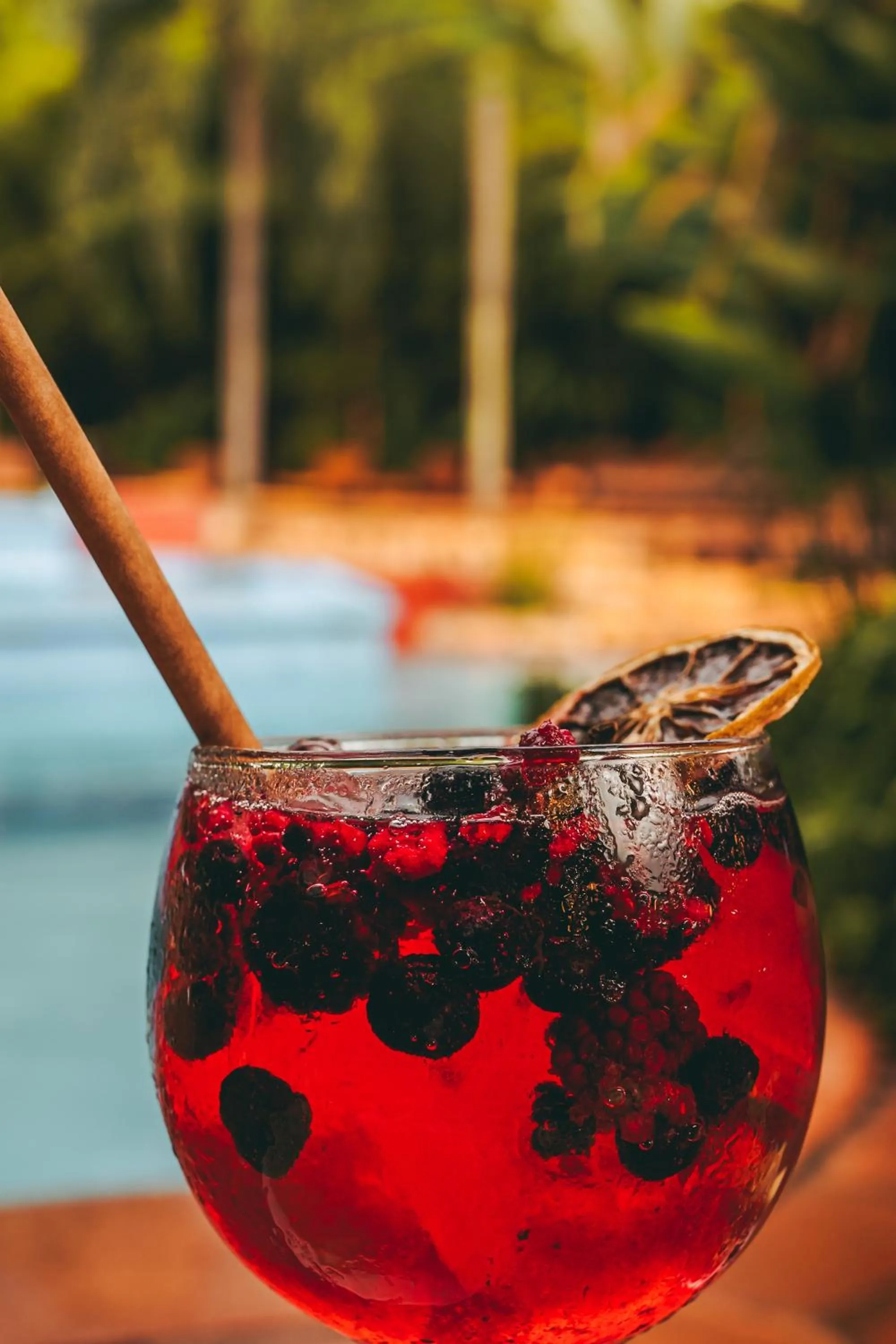 Drinks in La Aldea De La Selva Lodge