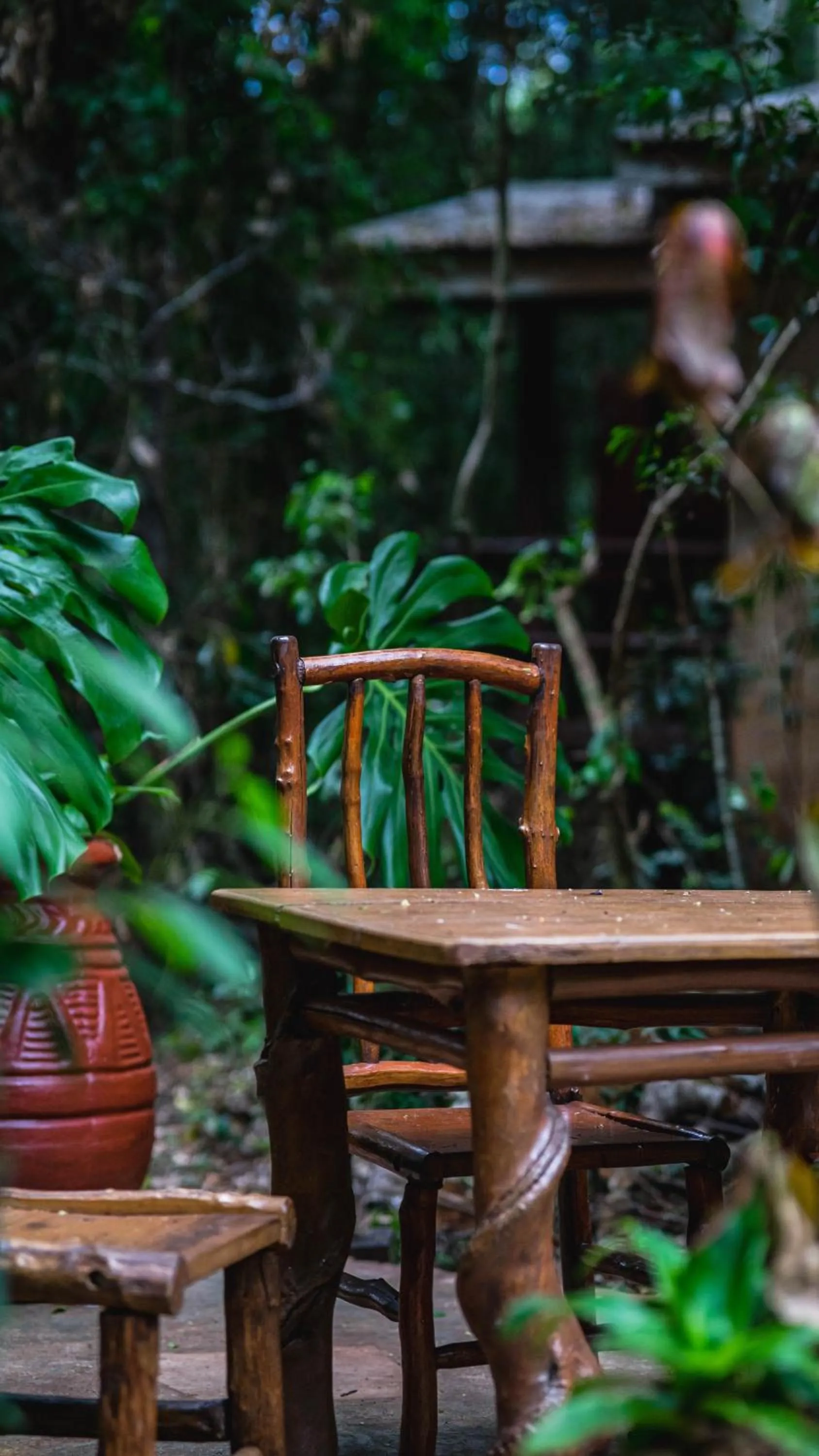 Patio in La Aldea De La Selva Lodge