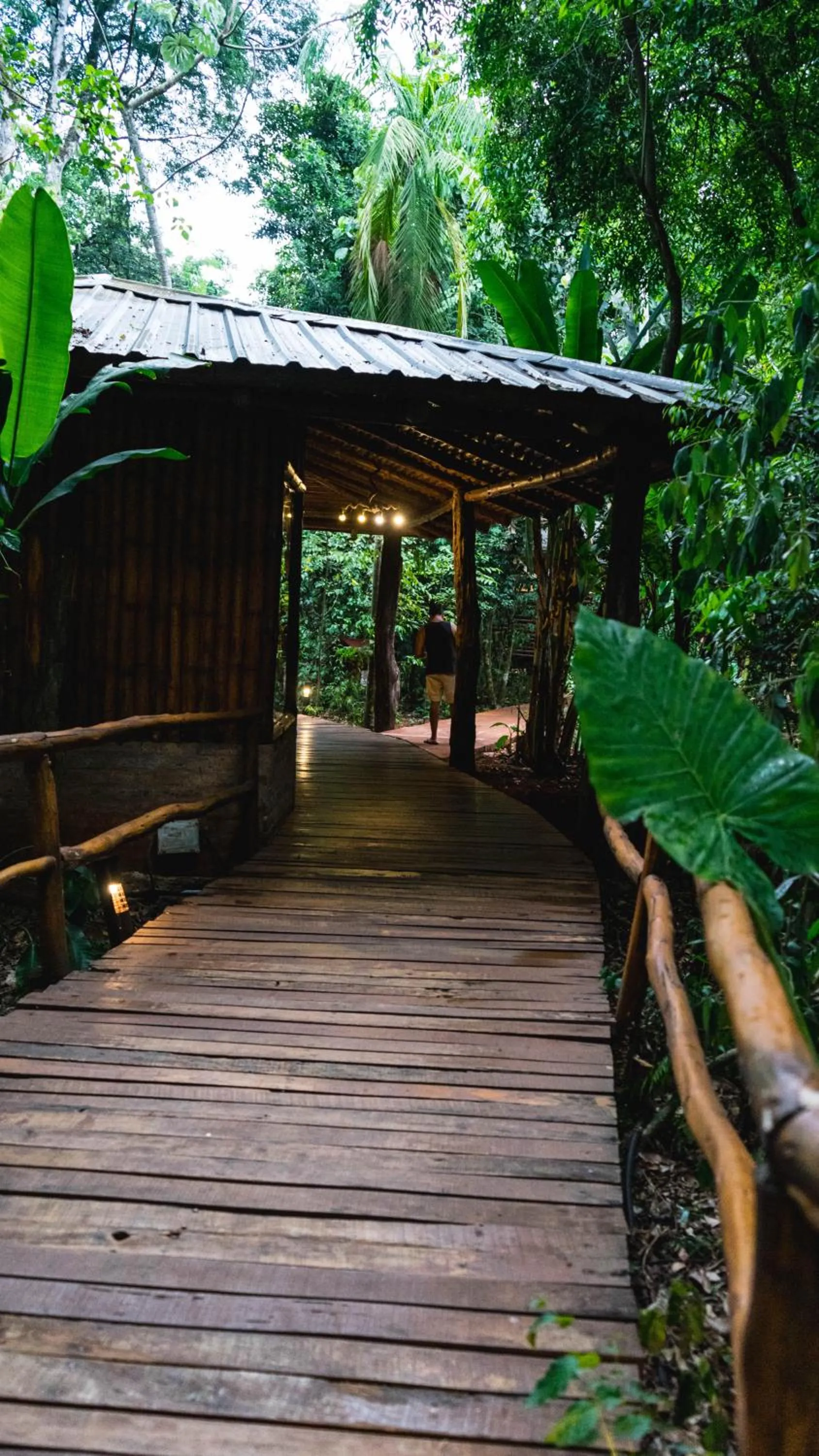 Garden in La Aldea De La Selva Lodge