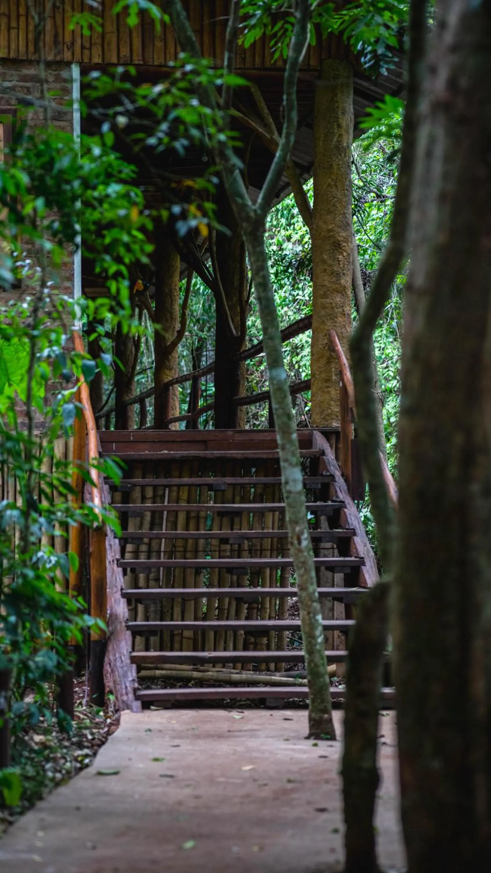 Day in La Aldea De La Selva Lodge