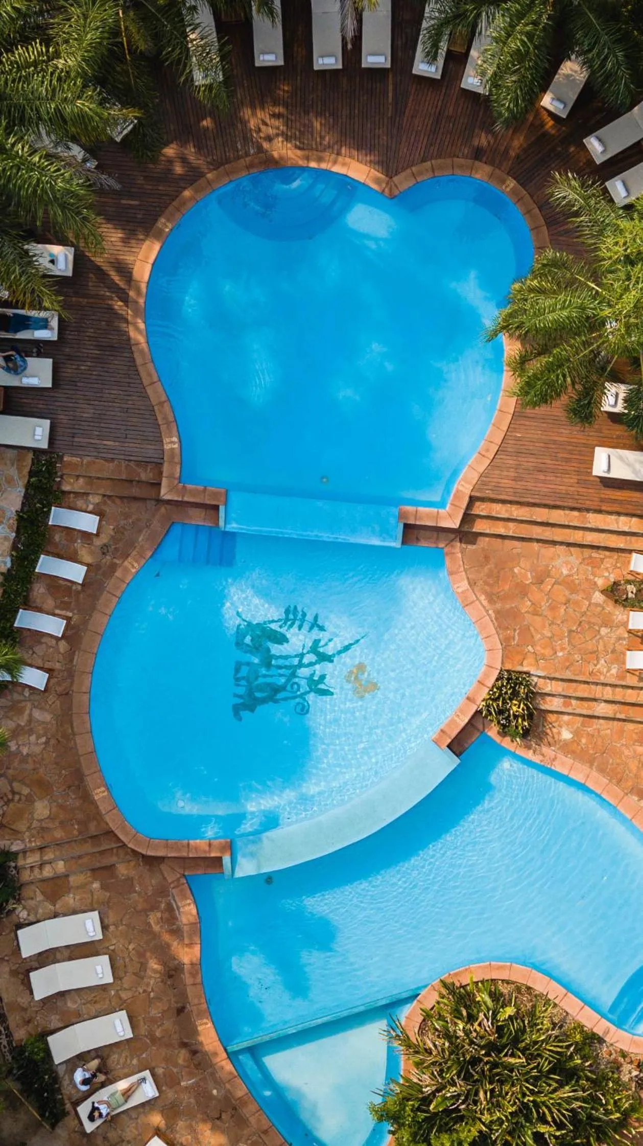 Swimming pool in La Aldea De La Selva Lodge