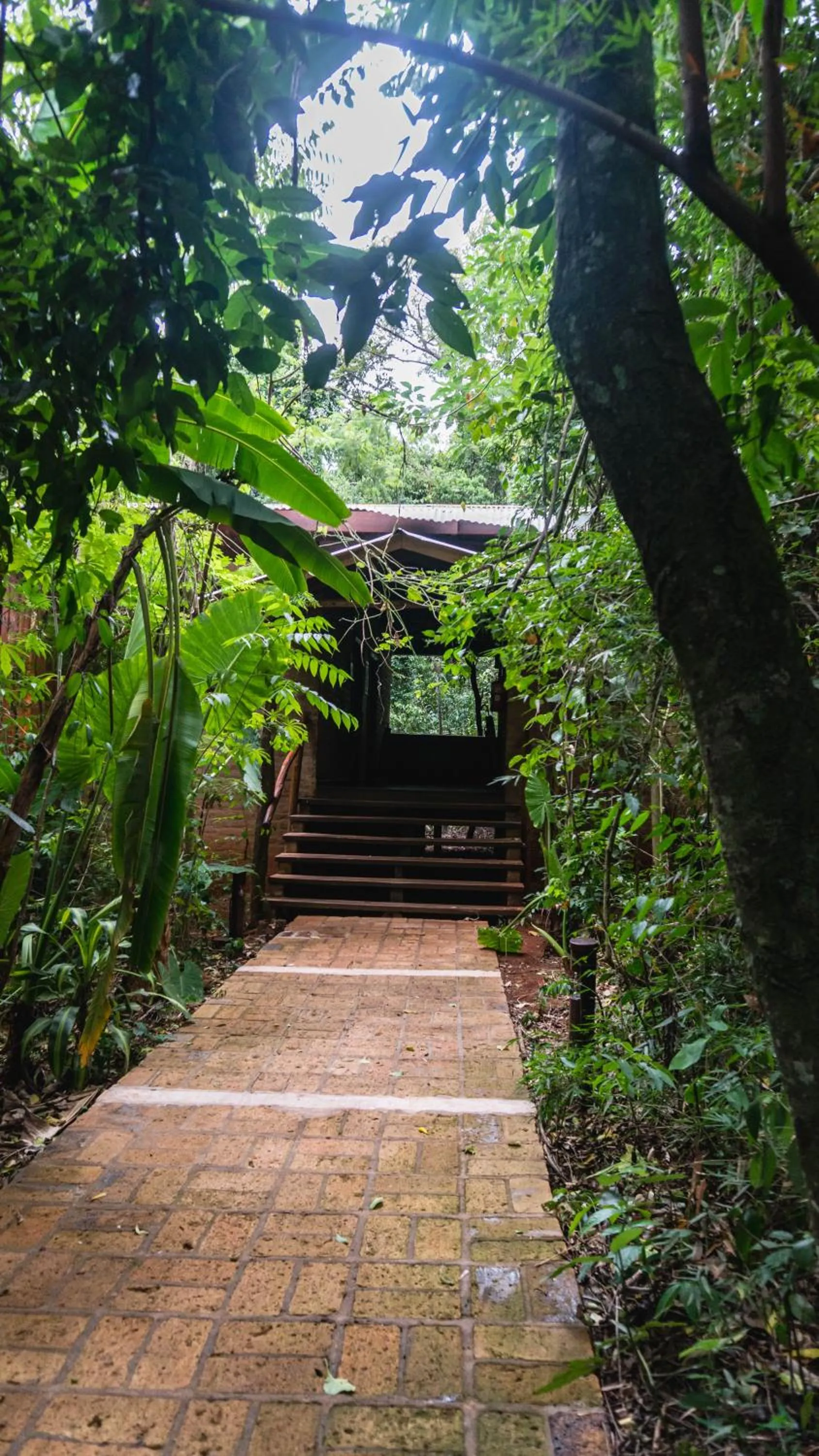 Day in La Aldea De La Selva Lodge