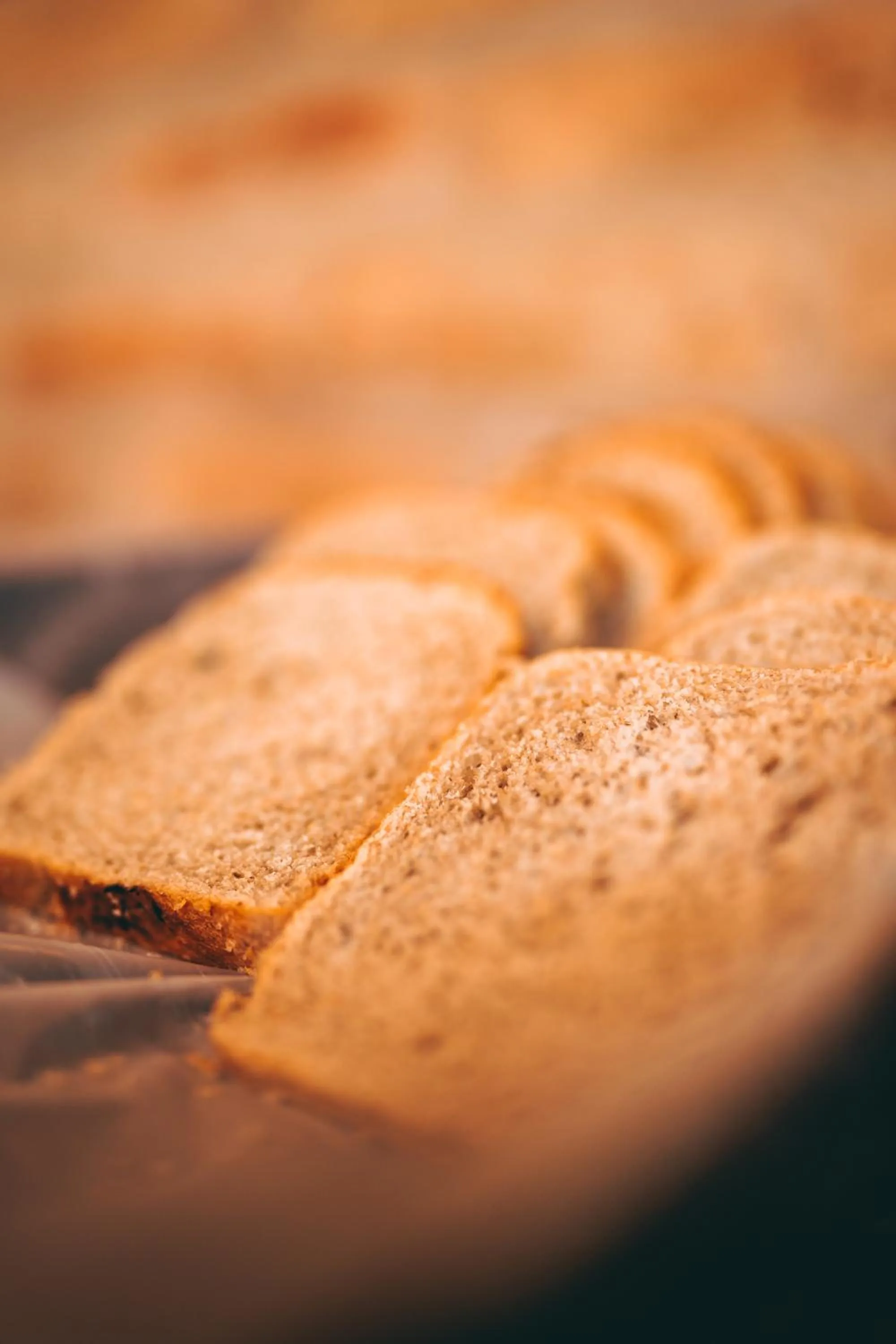 Breakfast in La Aldea De La Selva Lodge