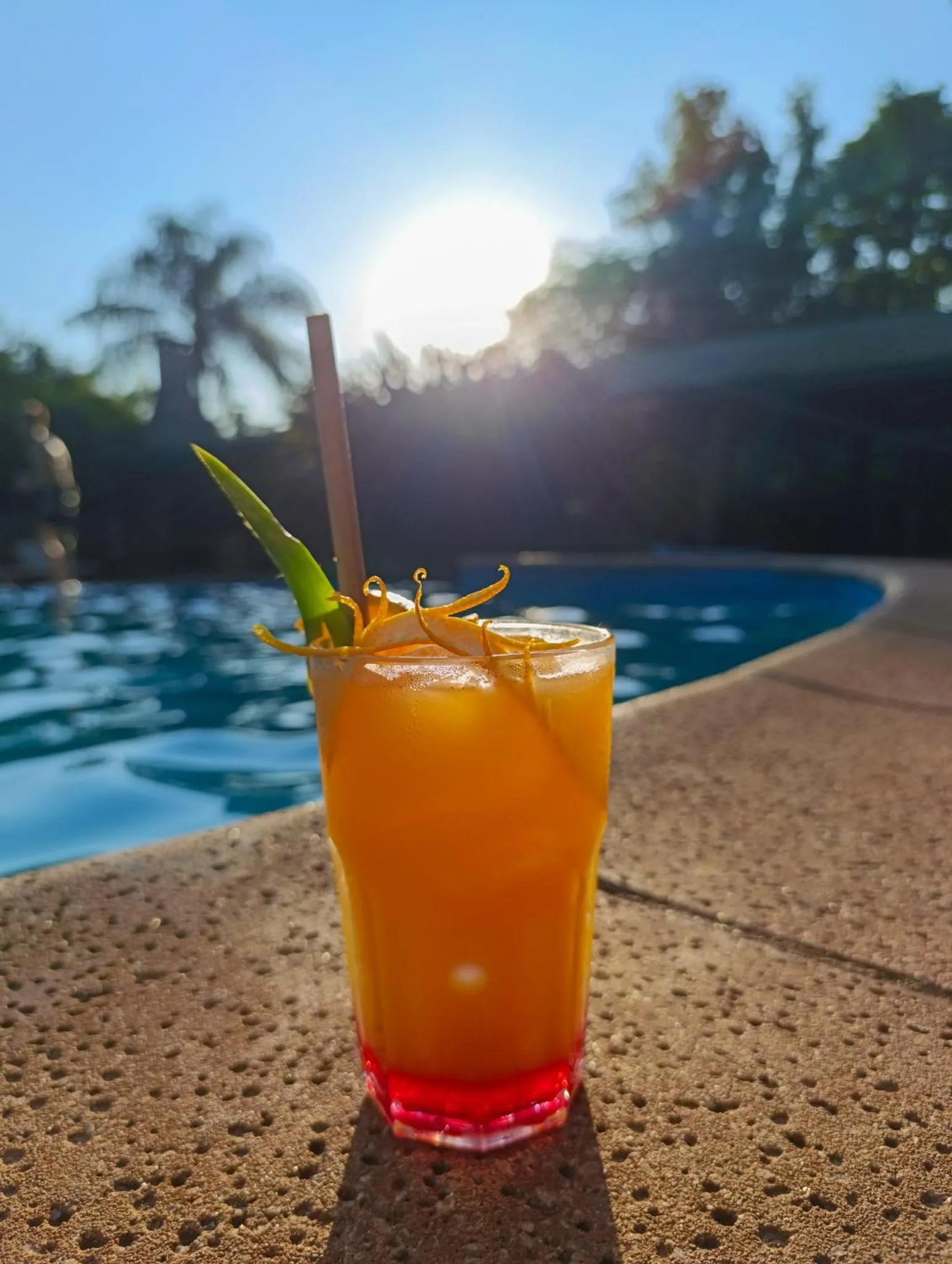 Drinks in La Aldea De La Selva Lodge