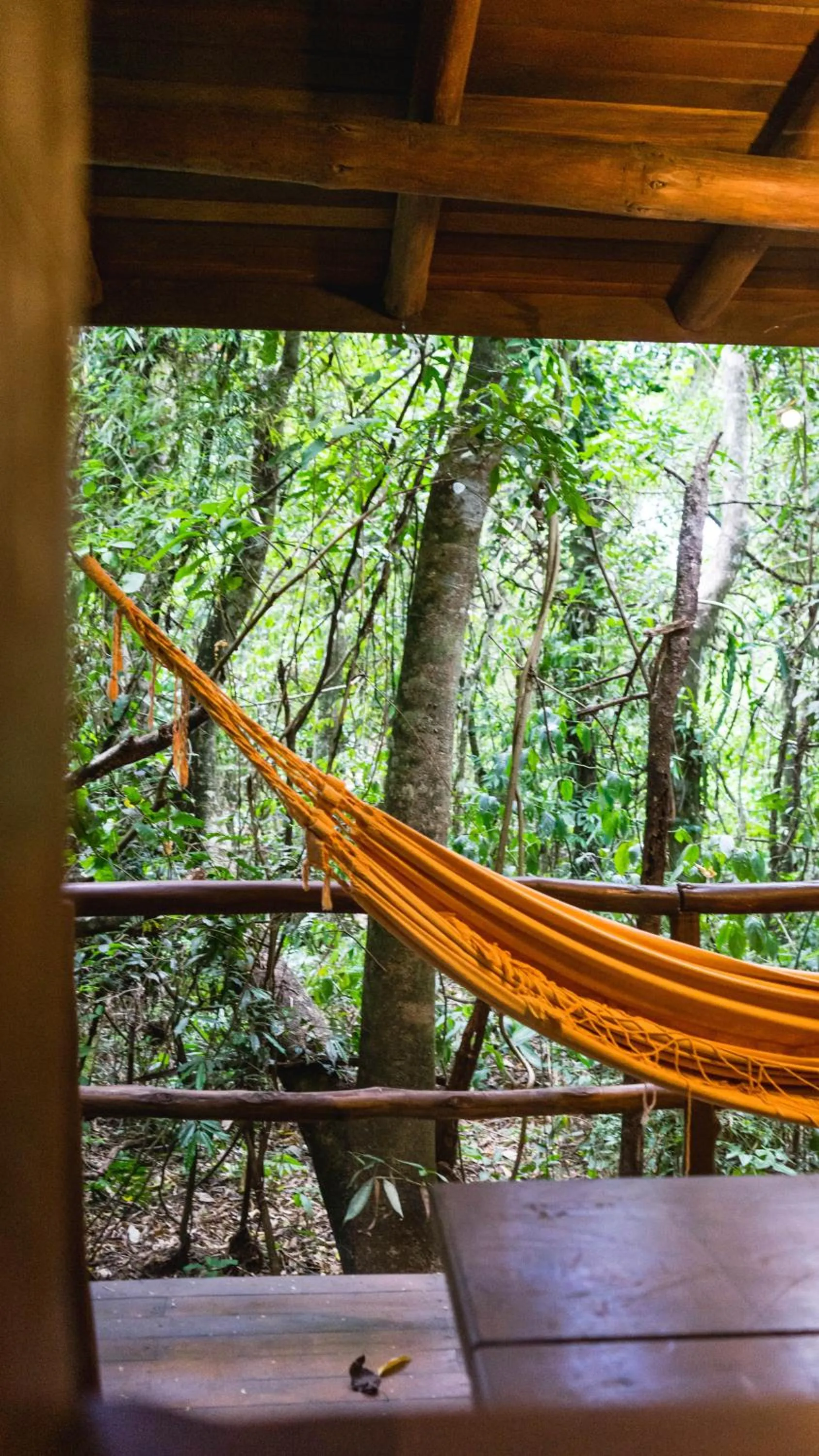 View (from property/room) in La Aldea De La Selva Lodge