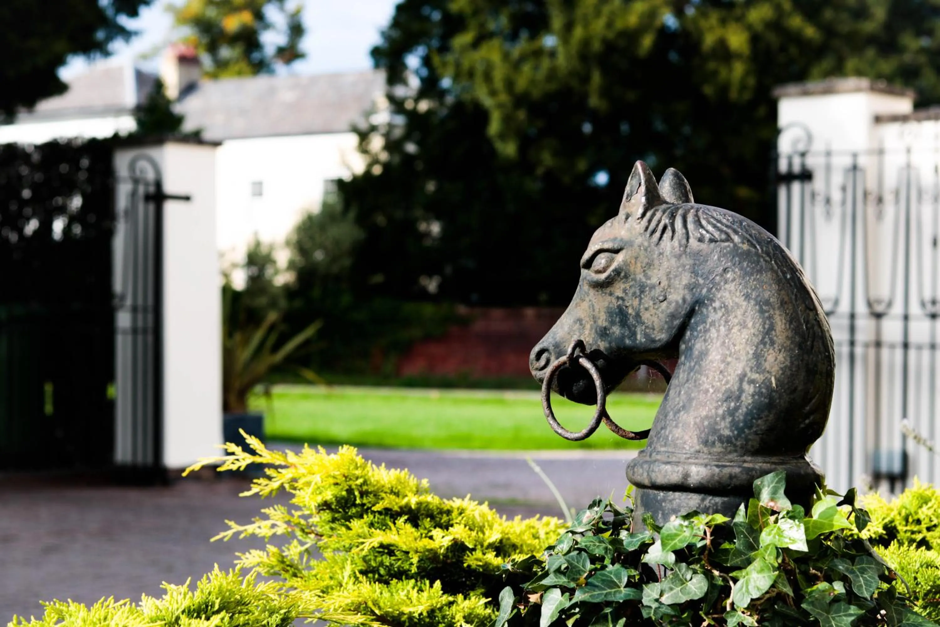 Garden in Little Manor