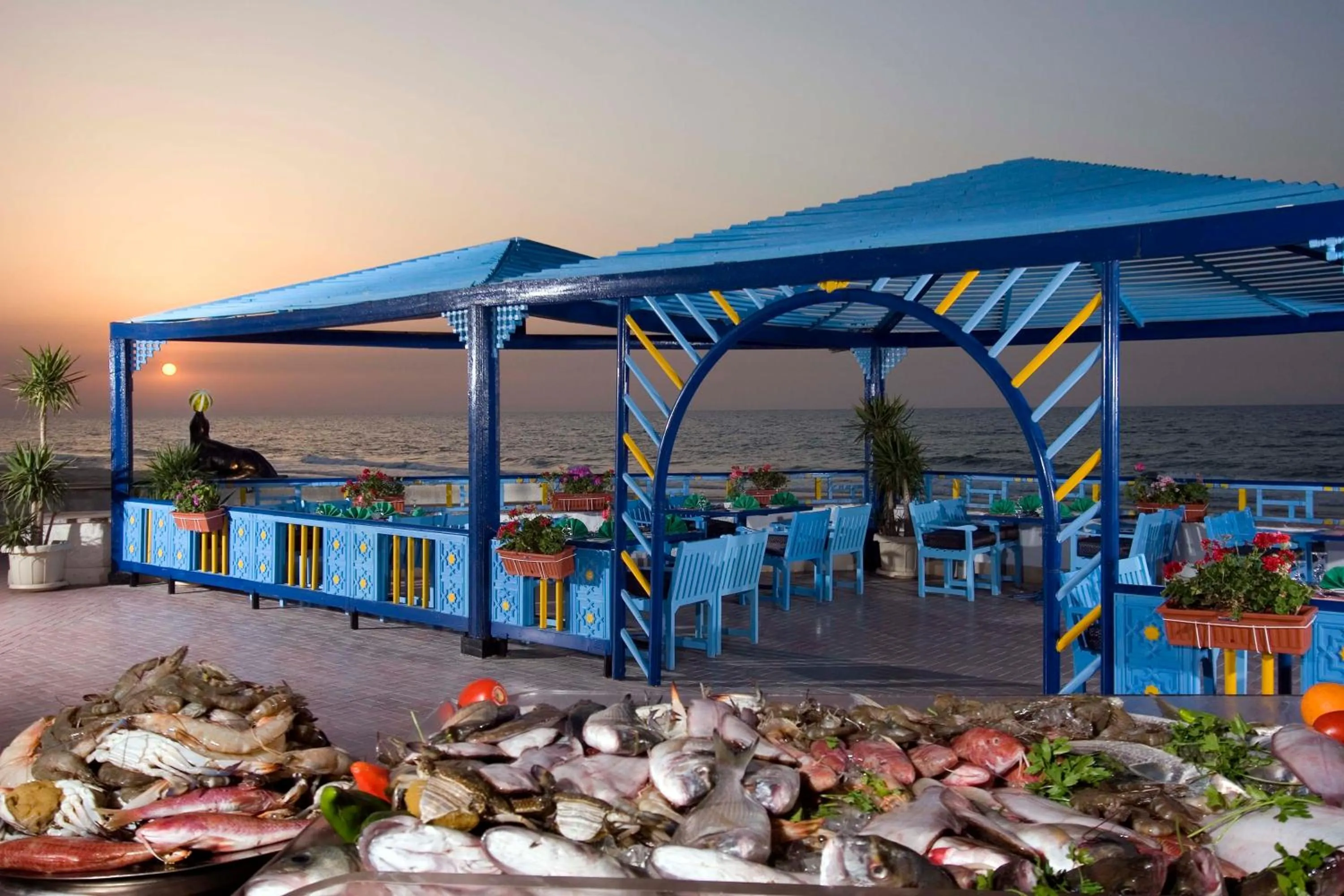 Restaurant/places to eat in Retac El Arish