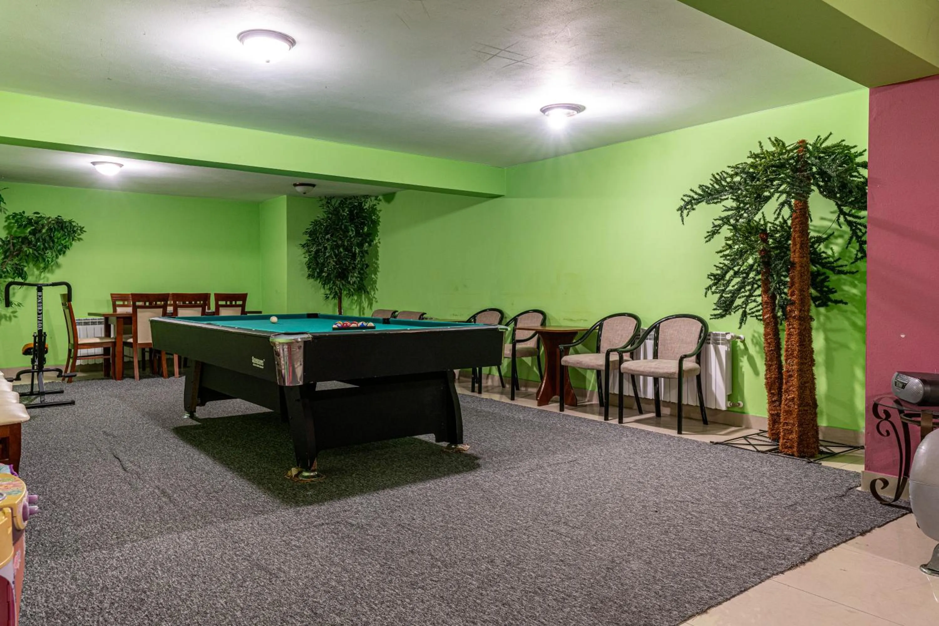 Billiard in Leśny Dworek Biały Dunajec