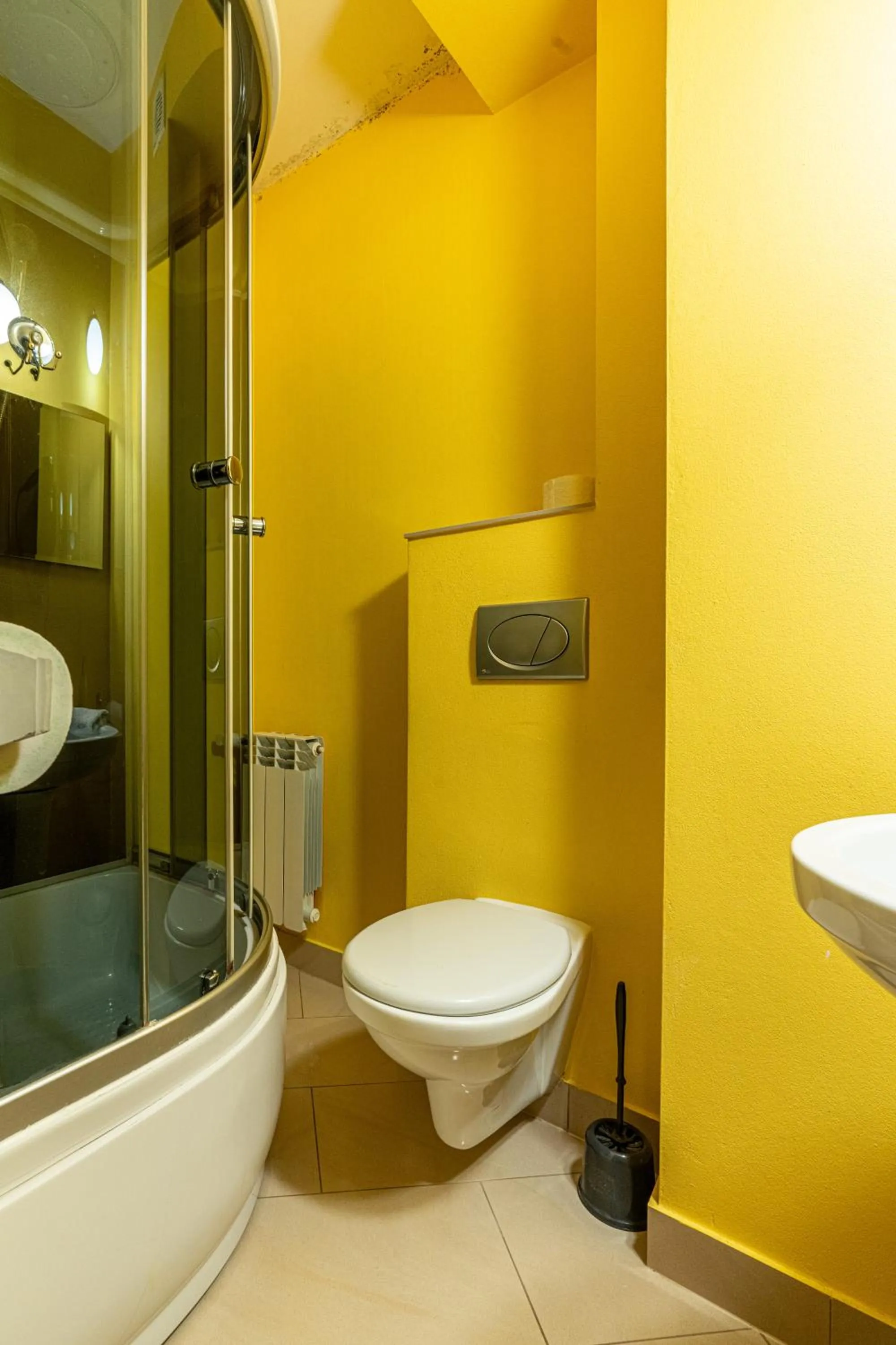 Shower in Leśny Dworek Biały Dunajec