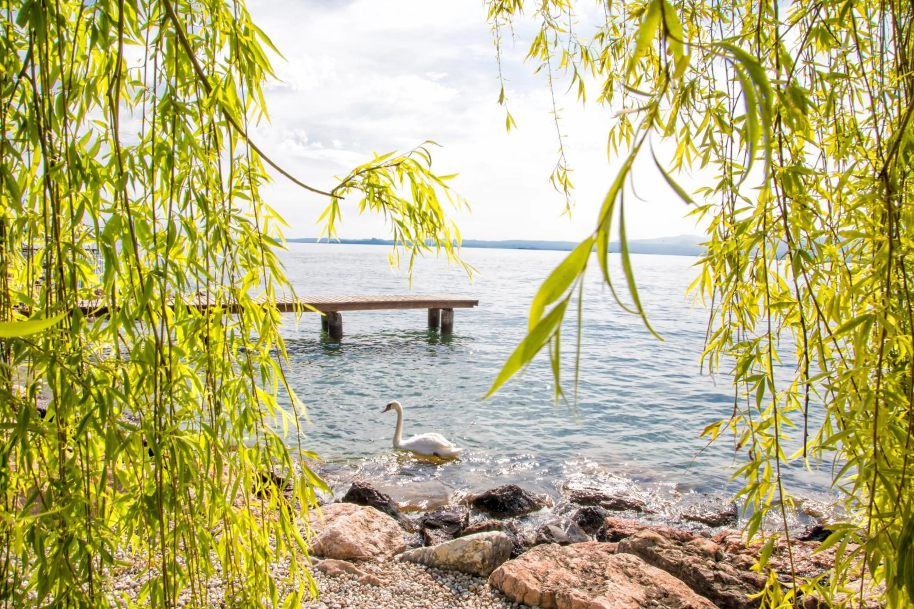 Natural landscape in Appartamenti Wieland