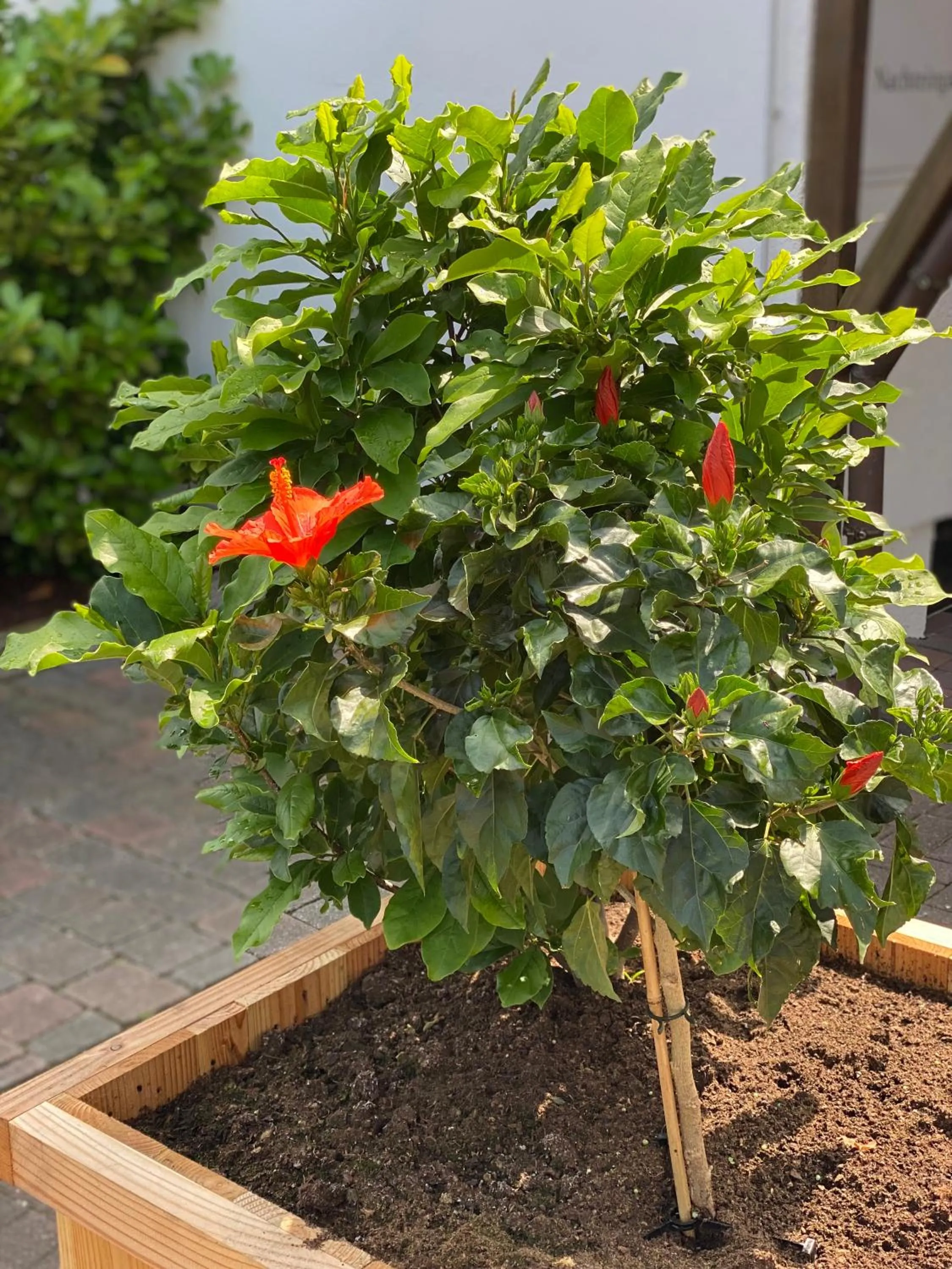 Das kleine Landhotel