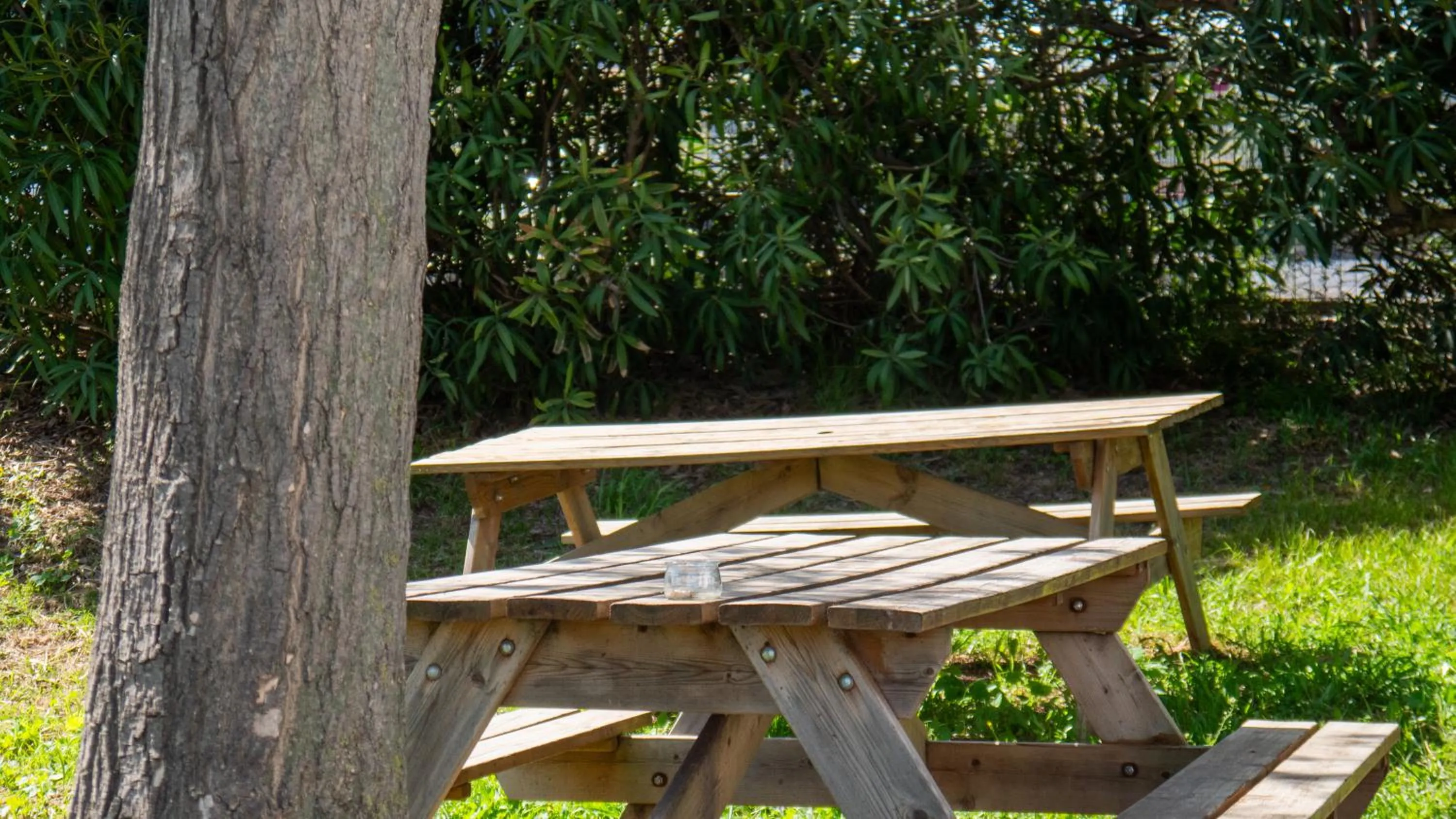 Garden in FastHotel Montpellier Ouest - Un Hôtel FH Classic