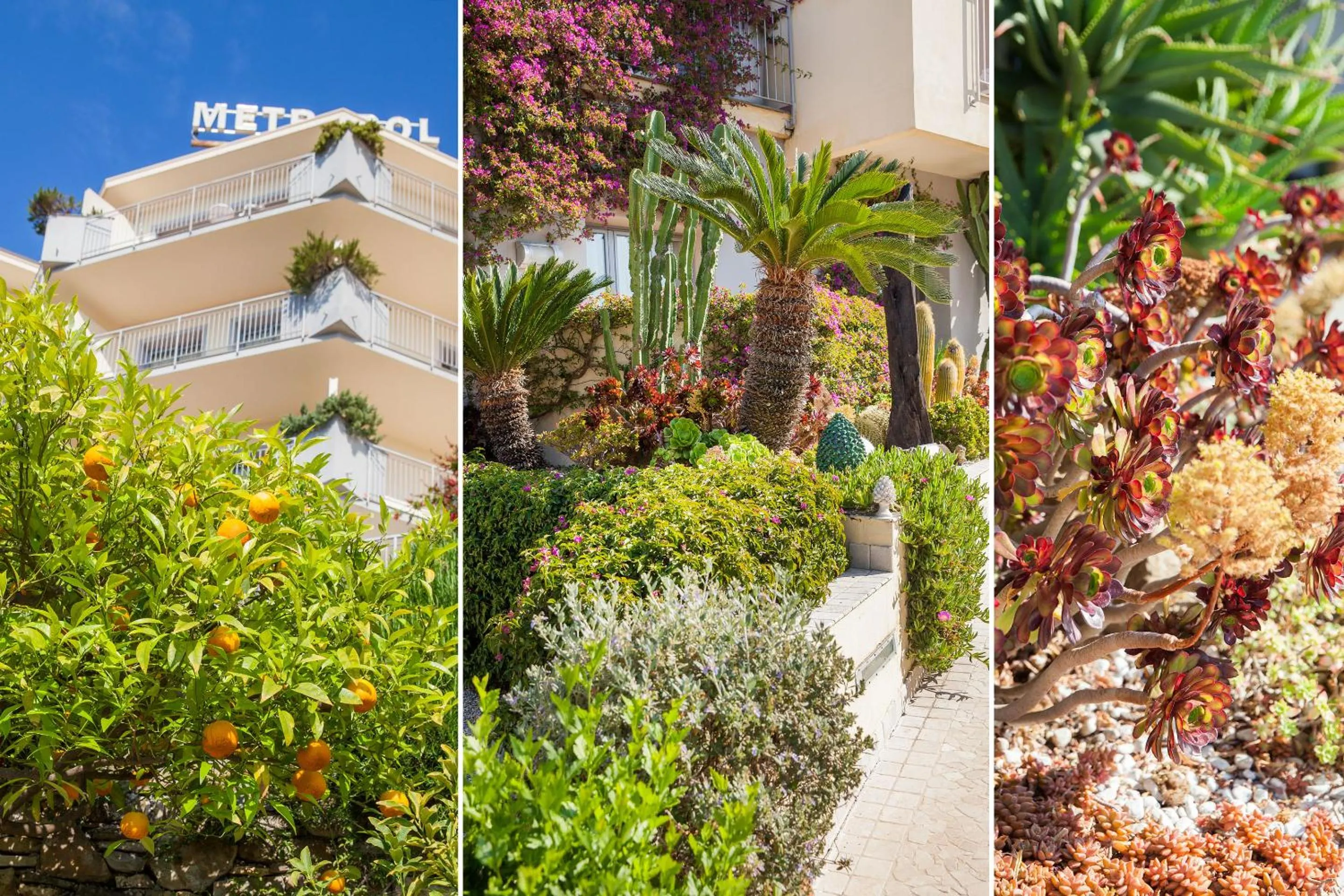 Facade/entrance in Hotel Metropol