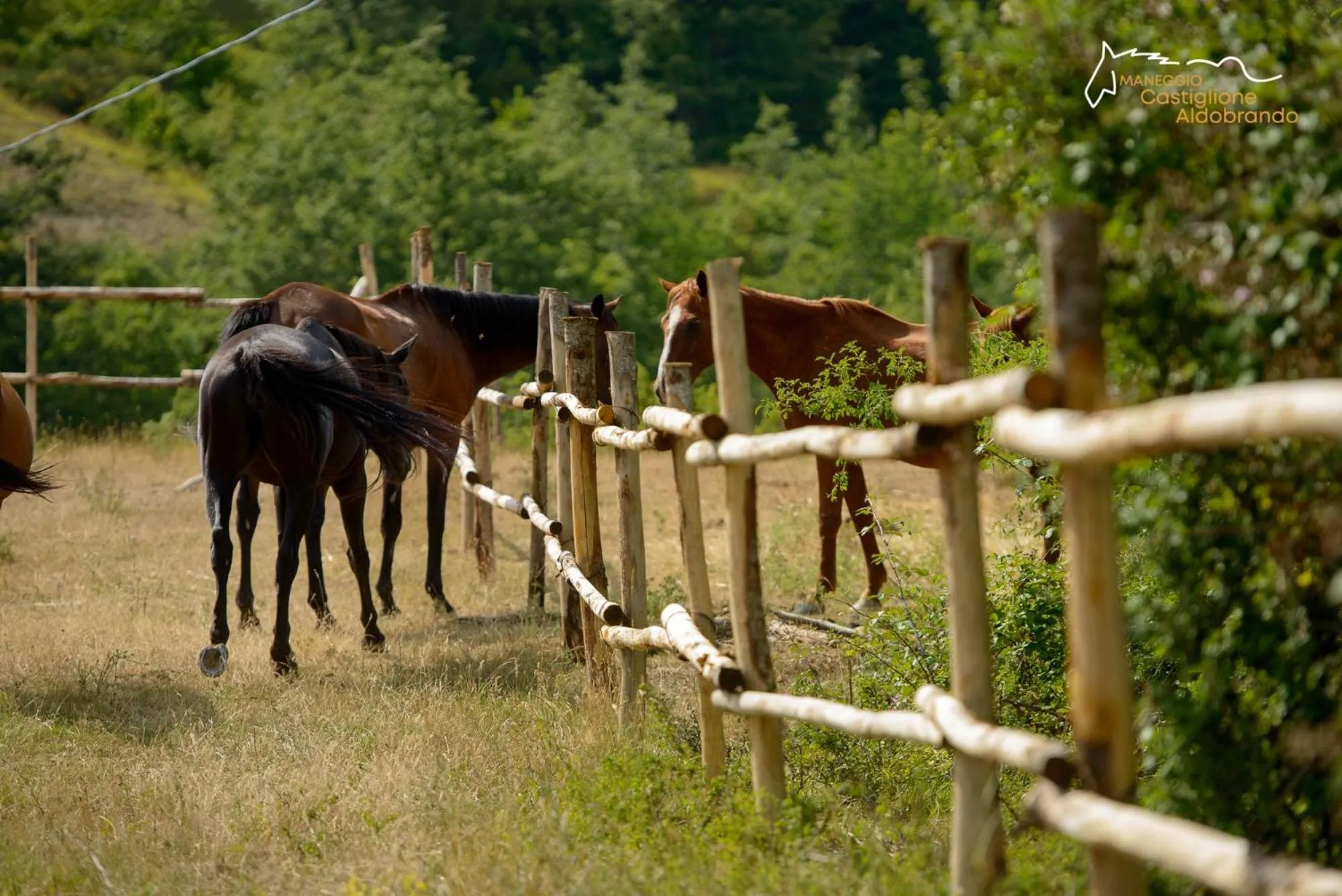 Activities in Faro Rosso
