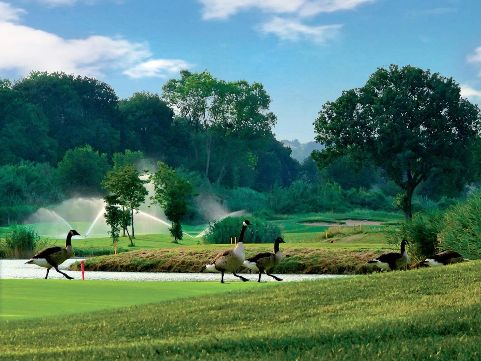 Landmark view in Agromarino