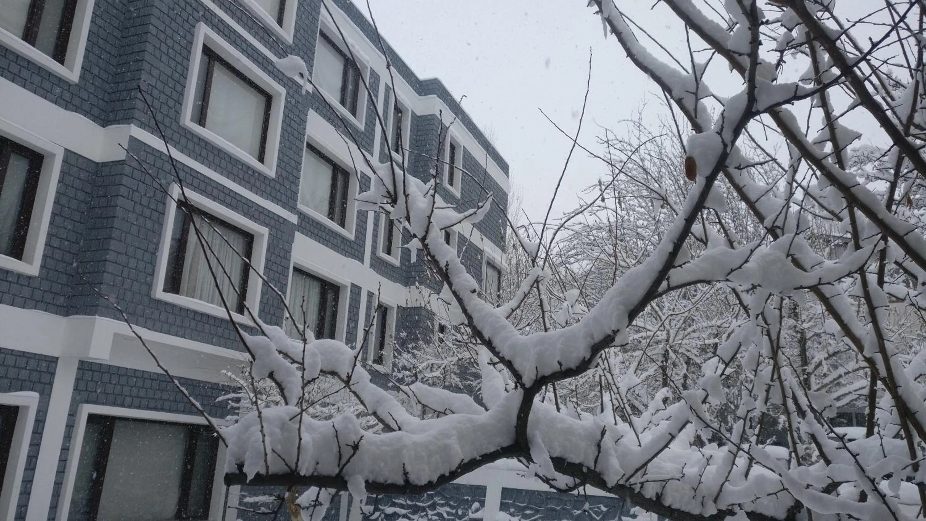 Property building in Hotel The Kargil