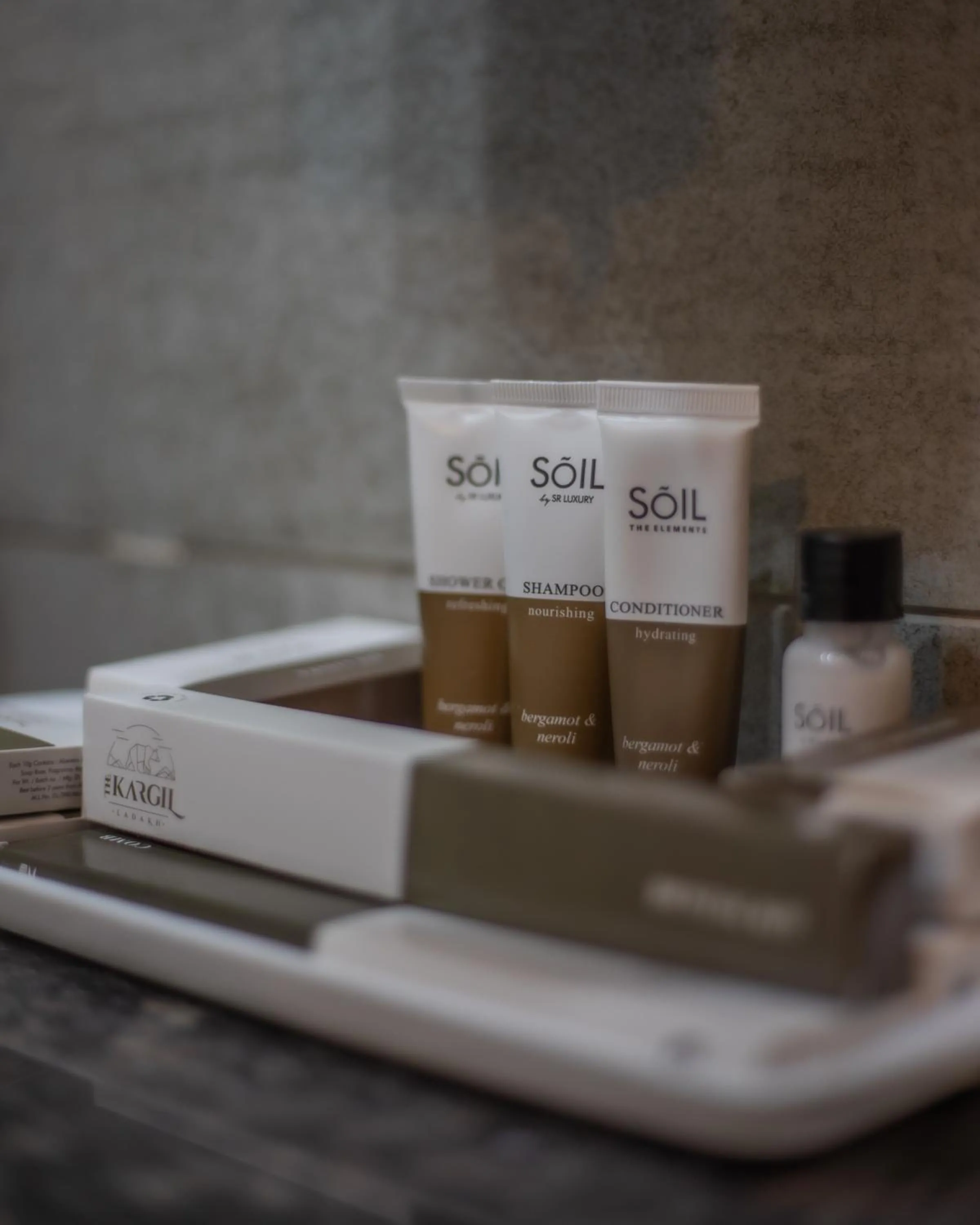 Bathroom in Hotel The Kargil