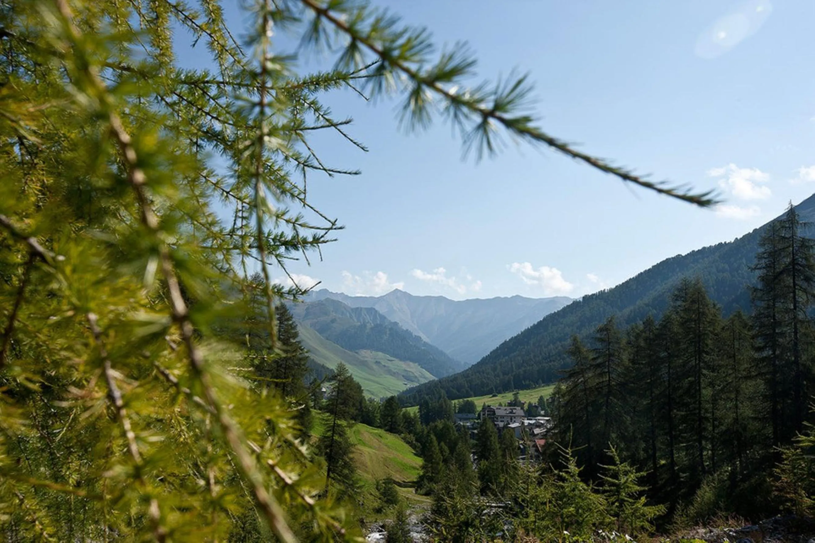 Natural landscape in Hotel des Alpes