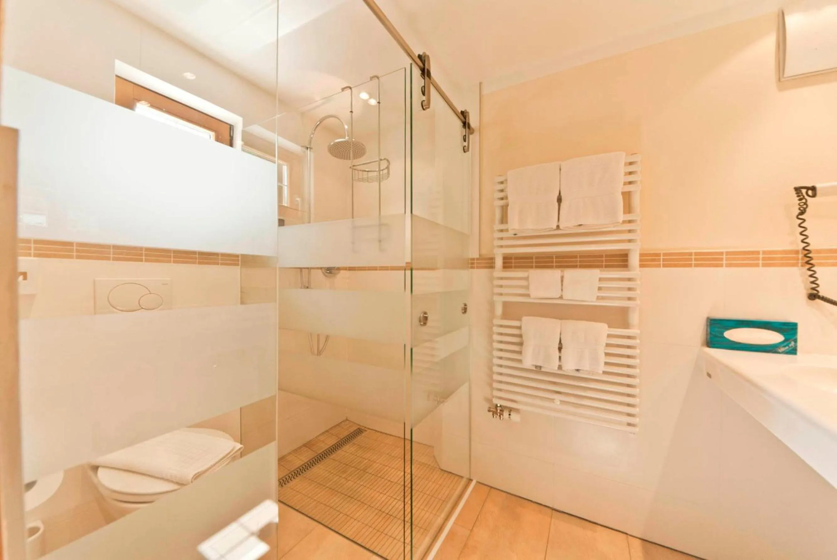 Shower in Hotel des Alpes