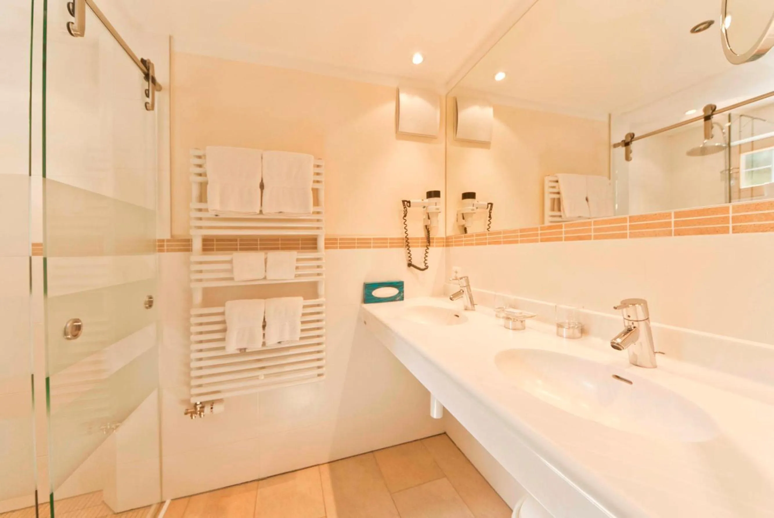 Bathroom in Hotel des Alpes