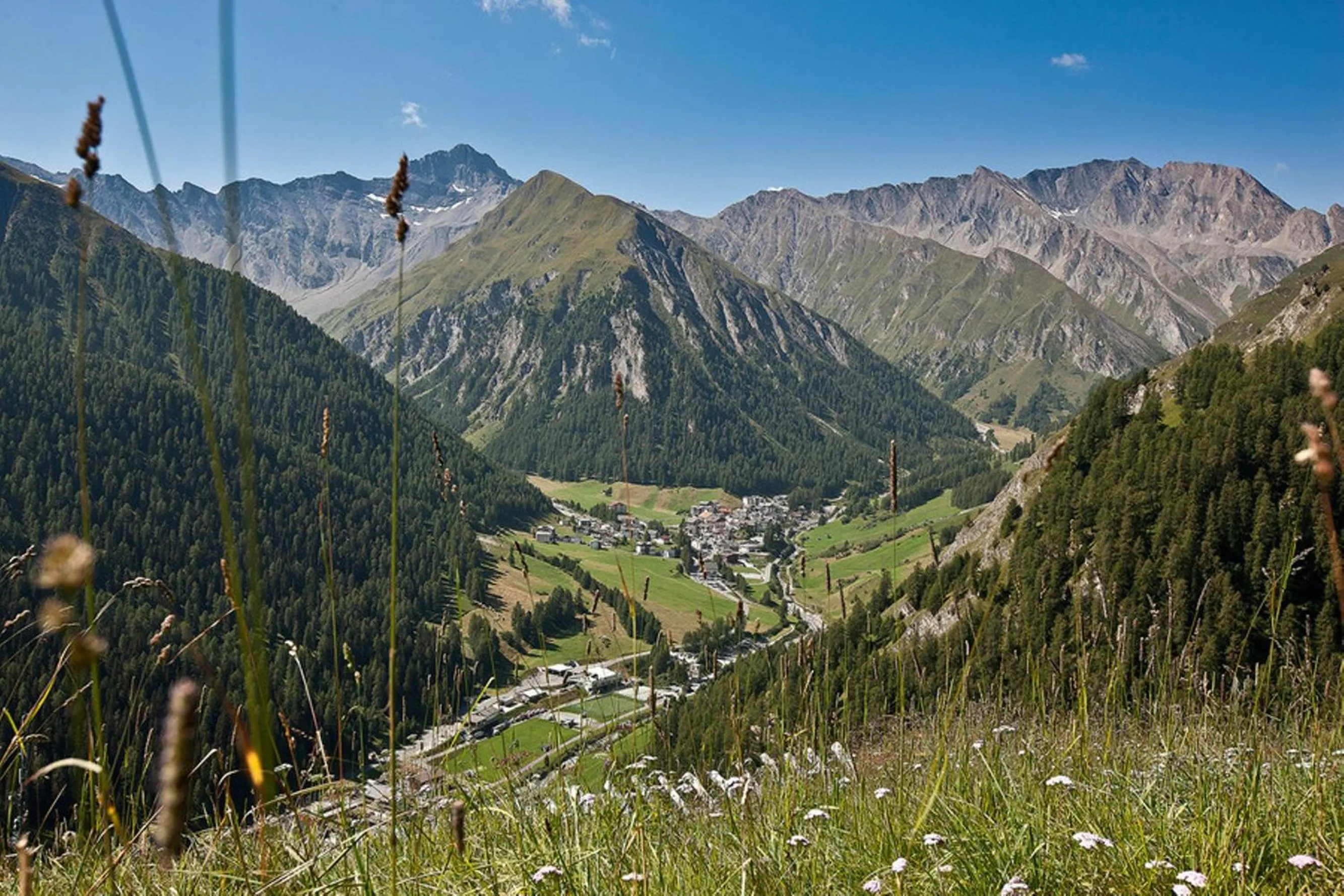 Natural landscape in Hotel des Alpes