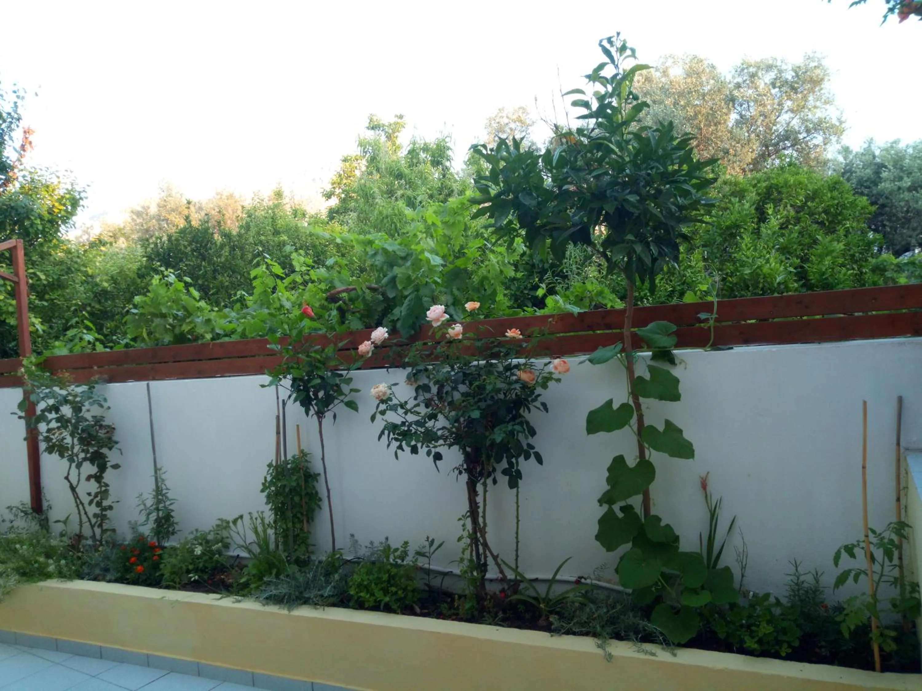 Pantheon Deluxe Apartments