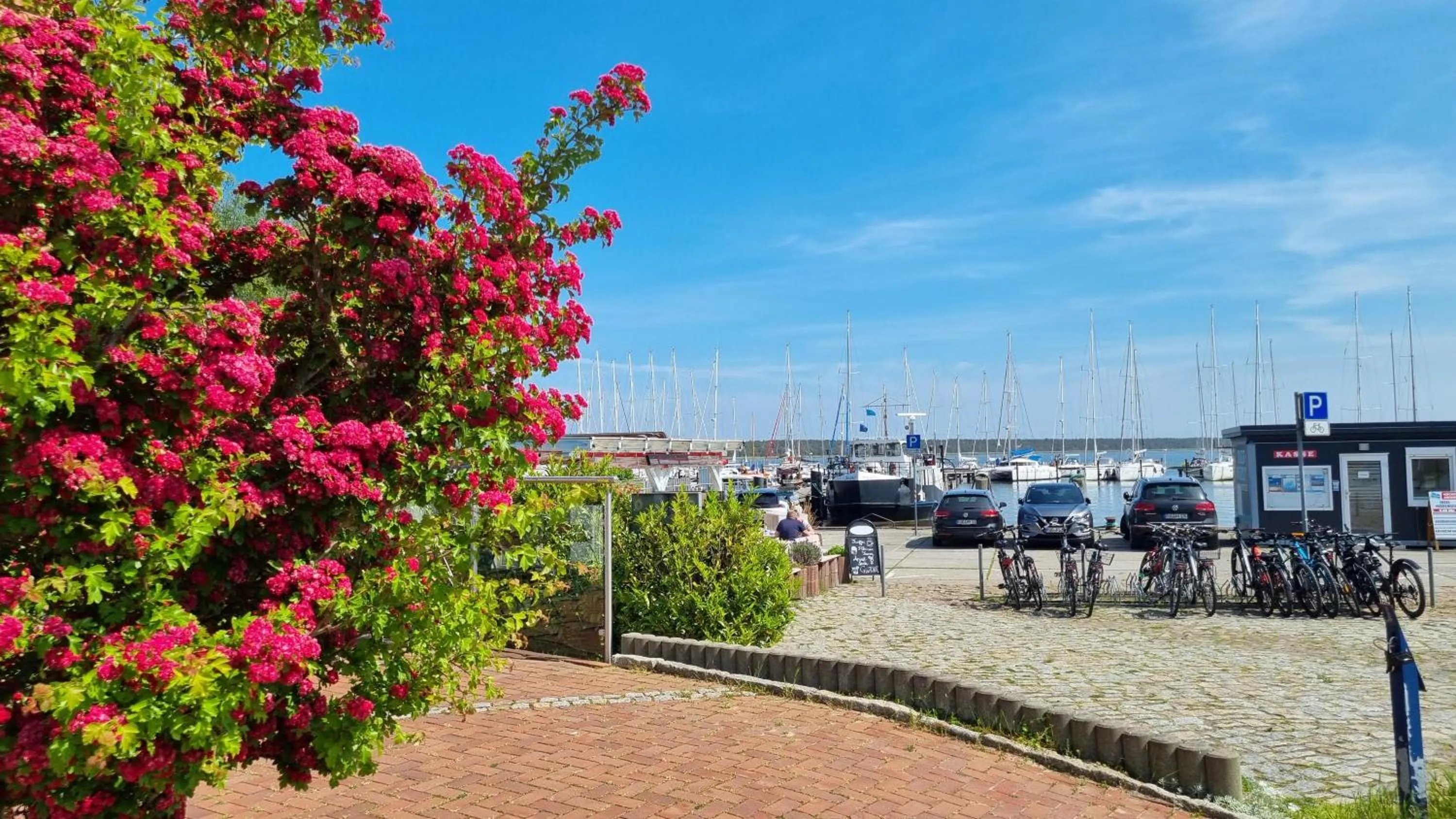 Restaurant/places to eat in Prise1 Ferienwohnung Breege