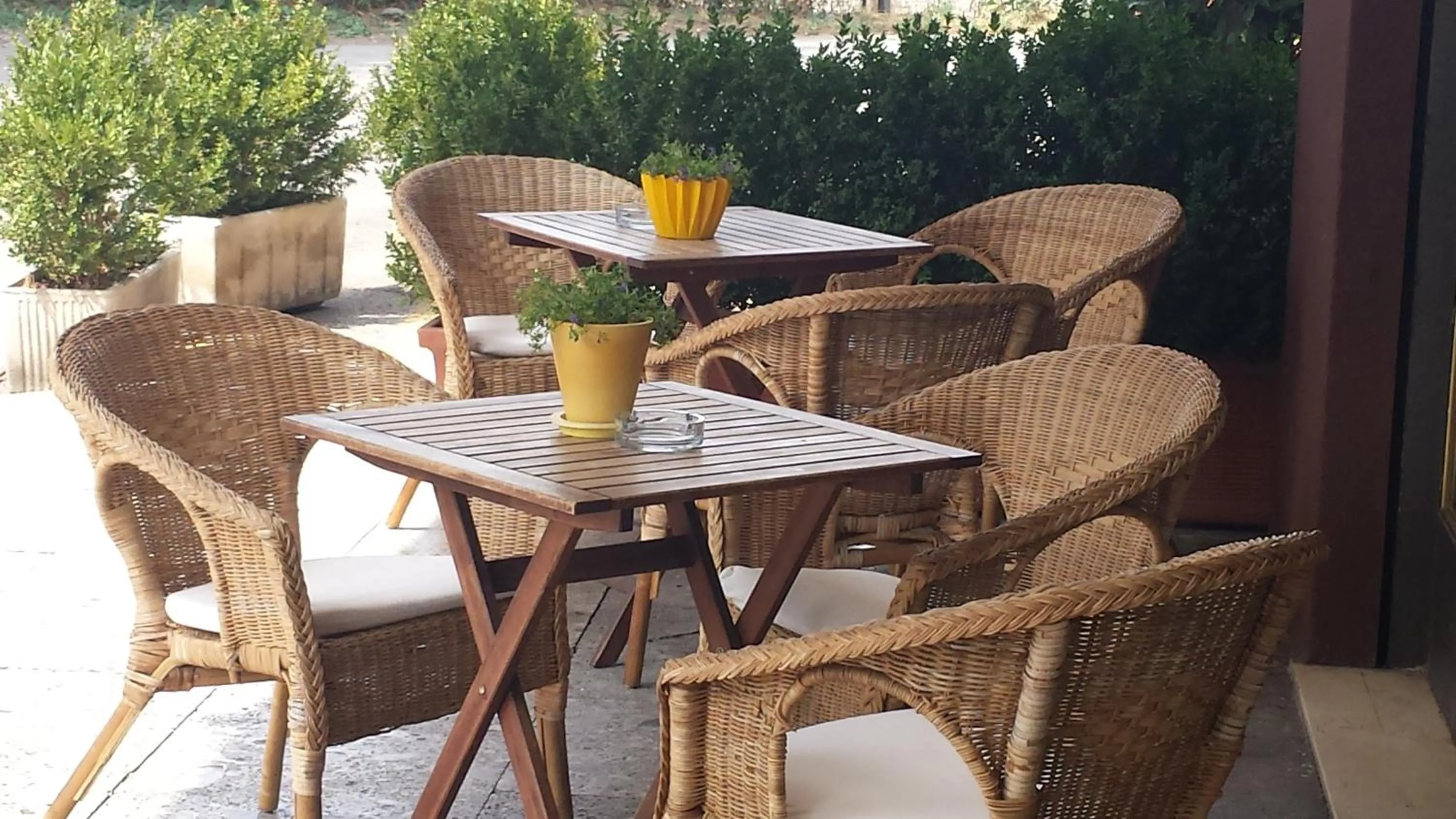Patio in Hotel Firenze
