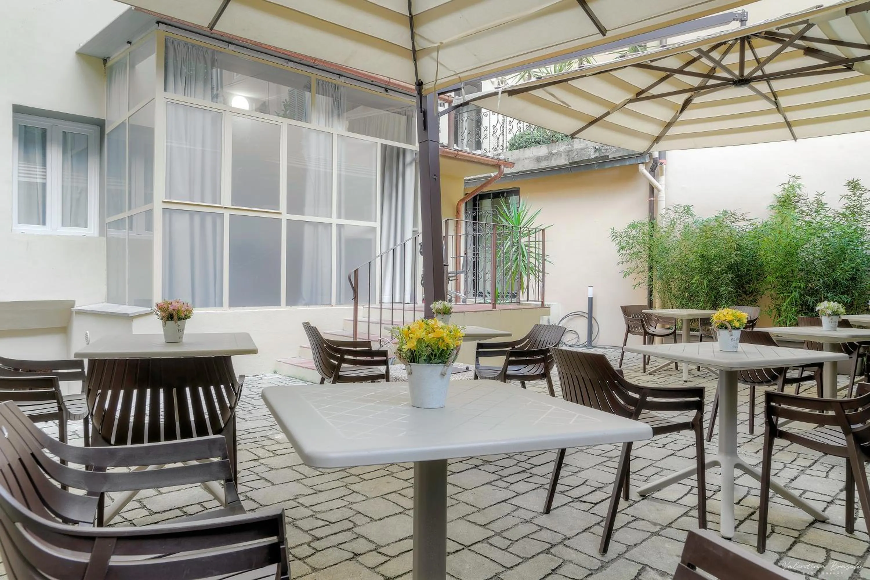 Garden in Hotel Cosmos