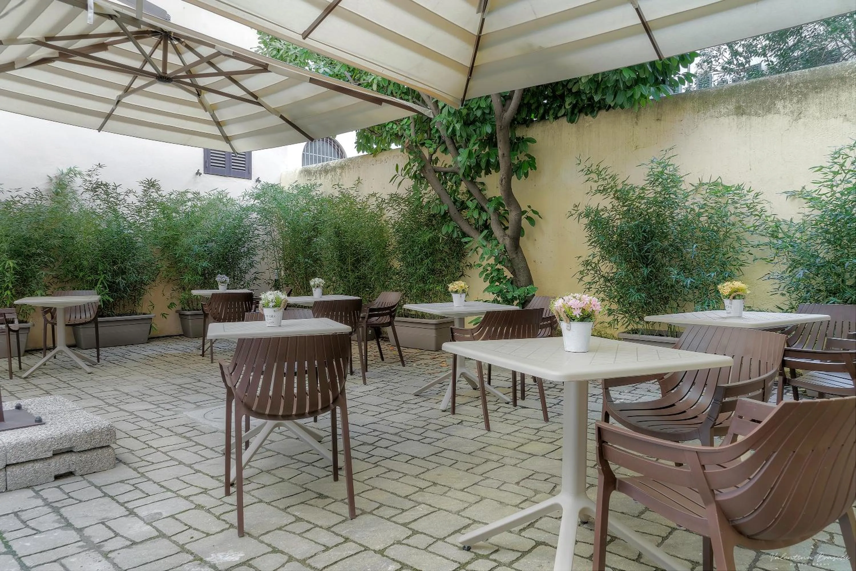 Garden in Hotel Cosmos