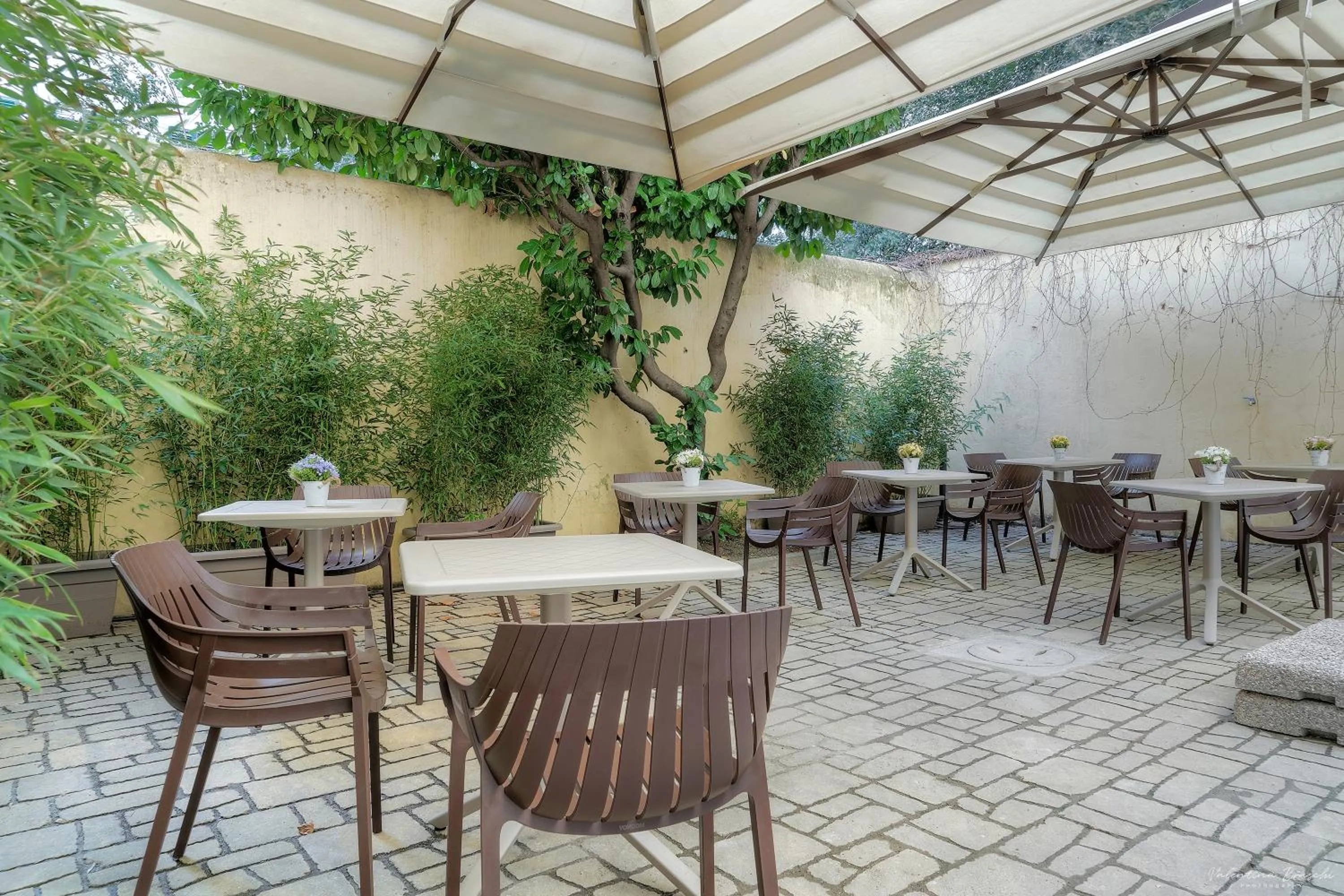 Garden in Hotel Cosmos