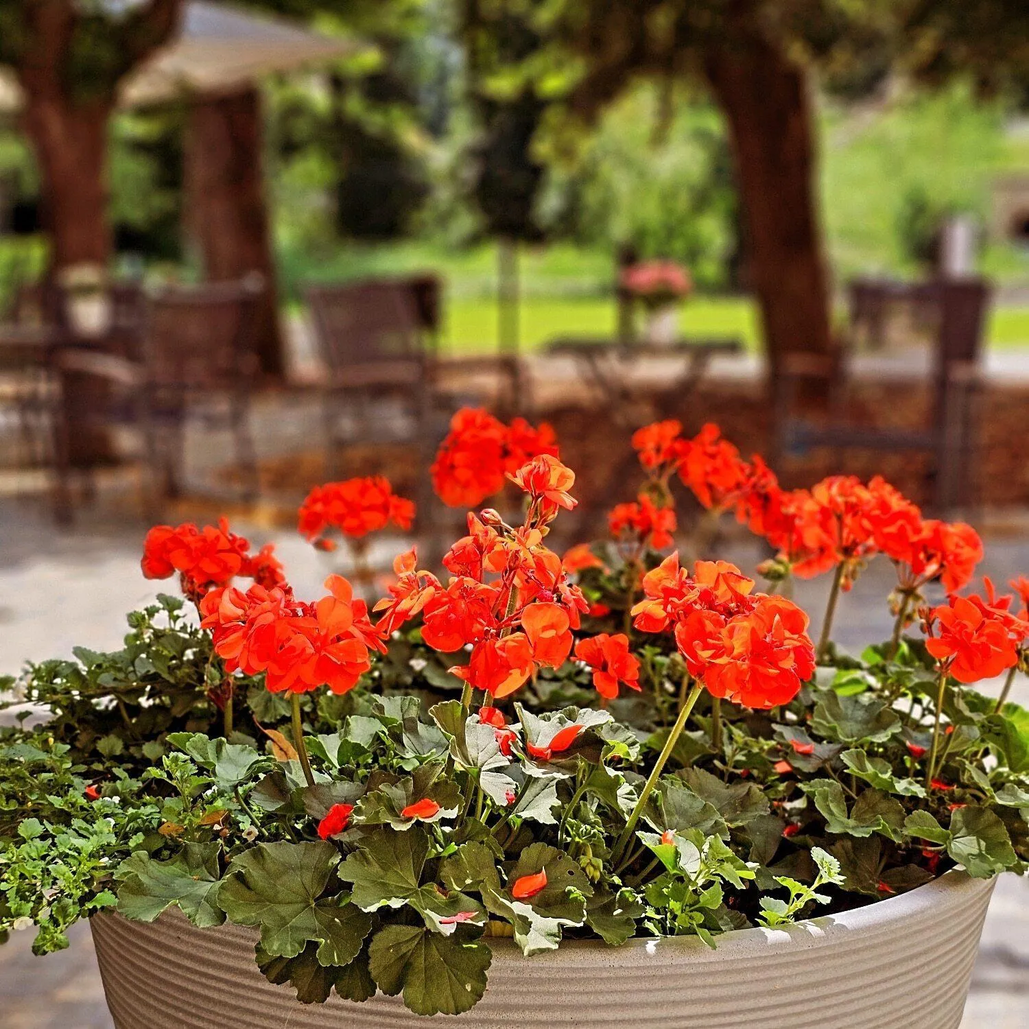 Property building in Parkhotel Senftenberg