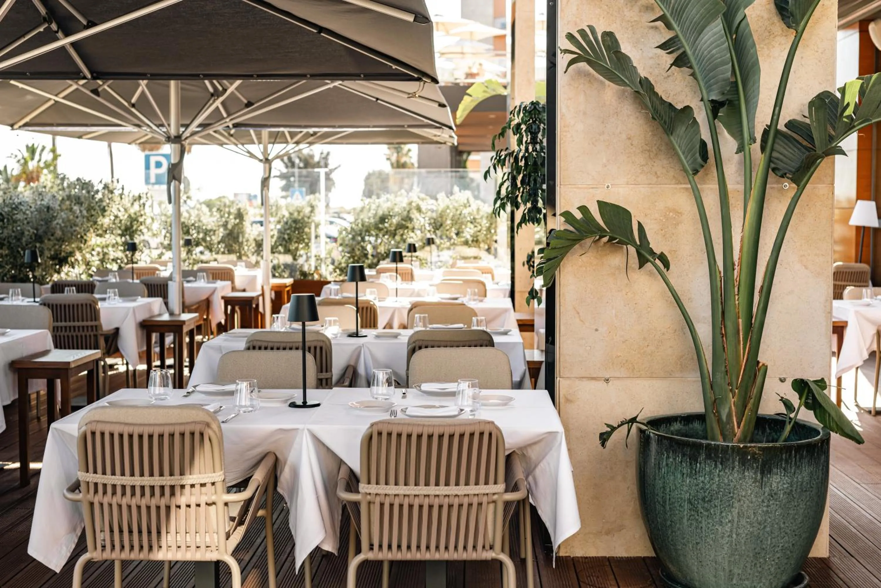 Restaurant/places to eat in Real Marina Hotel & Spa