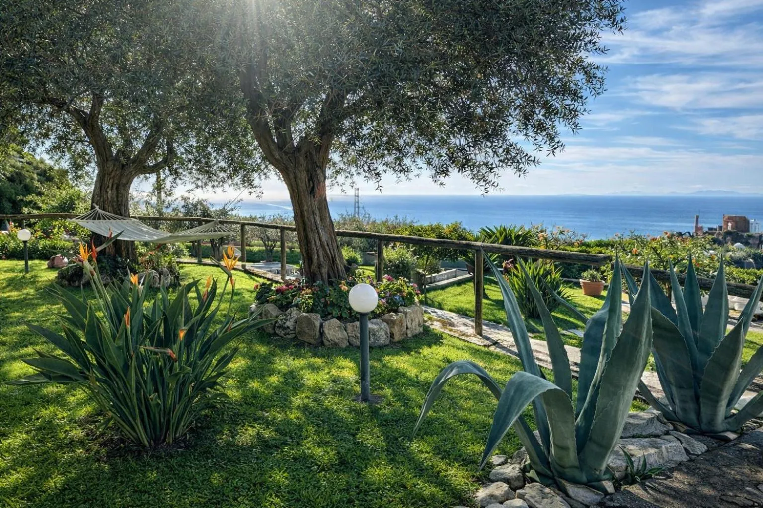Garden in Villa Raf