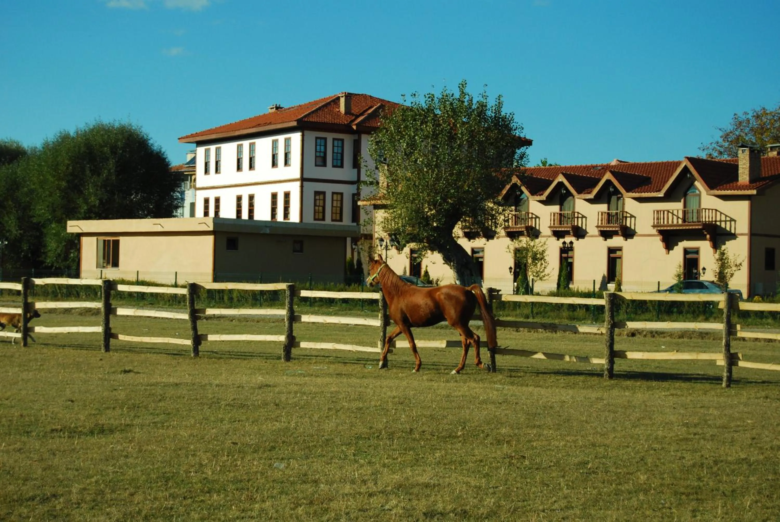Business facilities in Iksir Resort Town
