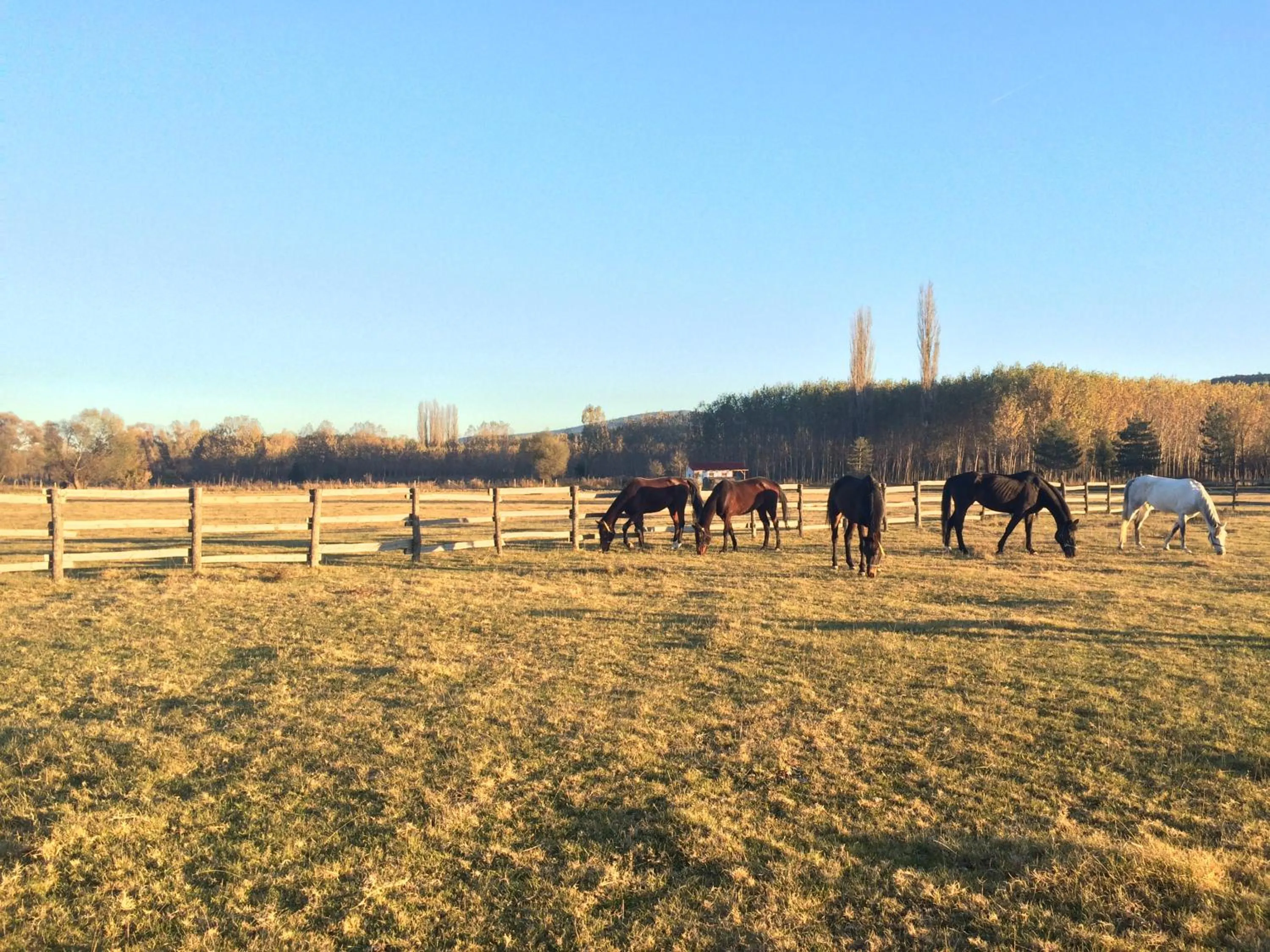 Day in Iksir Resort Town